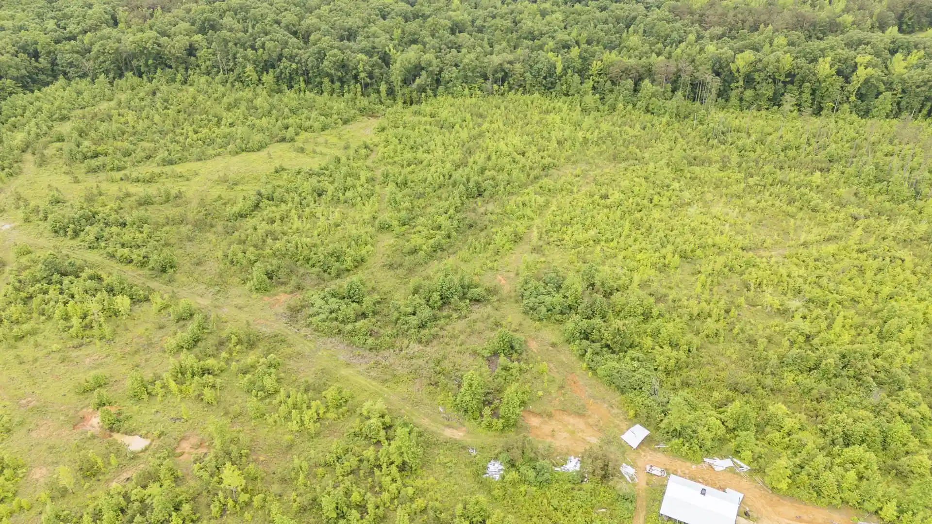 4th image of 0000 Leapwood Enville Rd, Adamsville, TN 38310 | MLS# 10222638