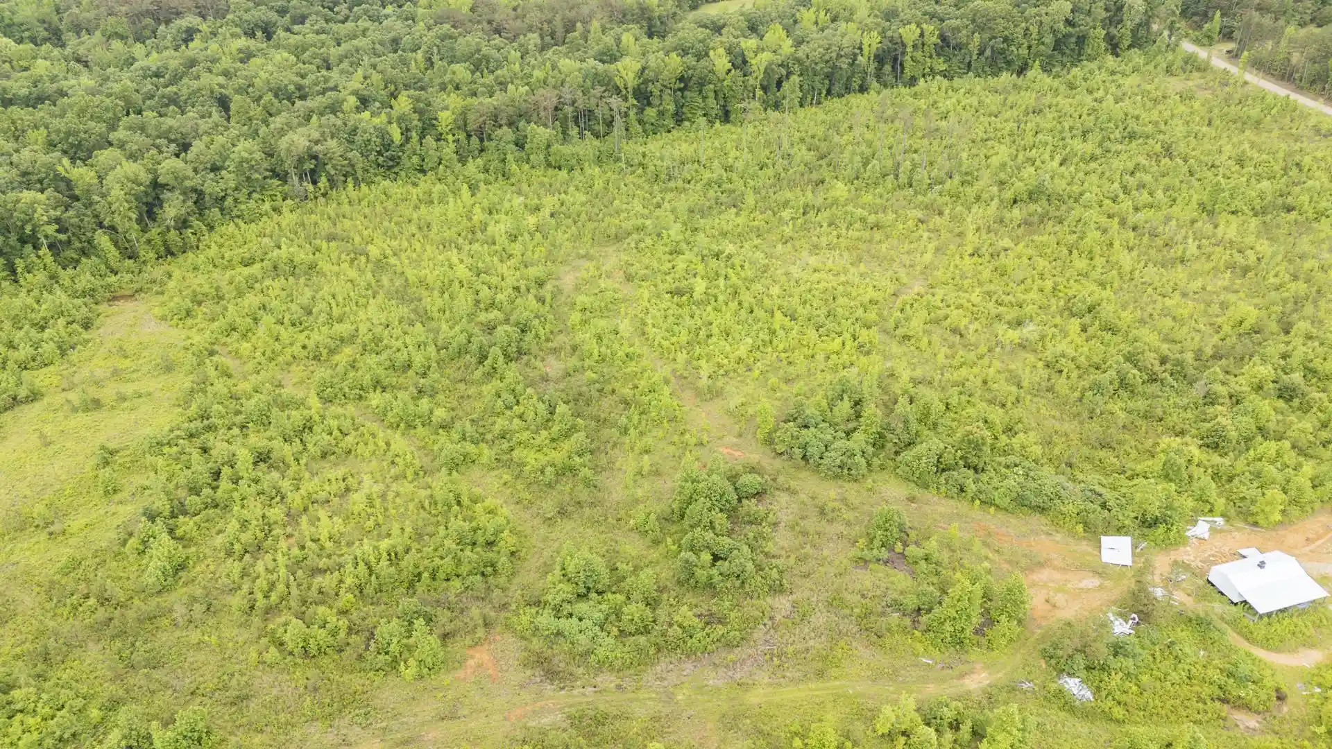 5th image of 0000 Leapwood Enville Rd, Adamsville, TN 38310 | MLS# 10222638
