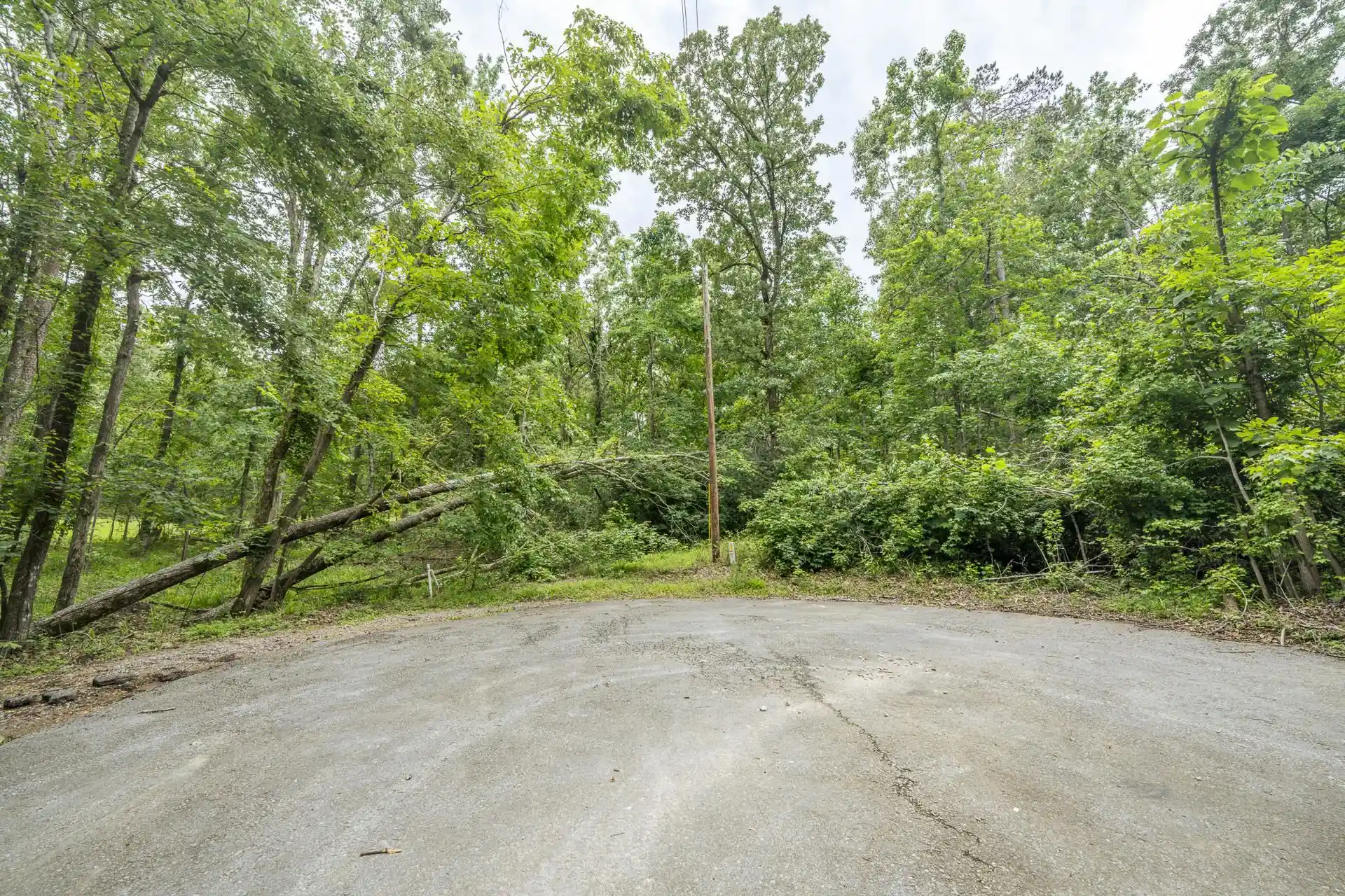 Homes for sale in Counce, TN | Lot 527 Masters Ct, Counce, TN 38326 | MLS# 10222663