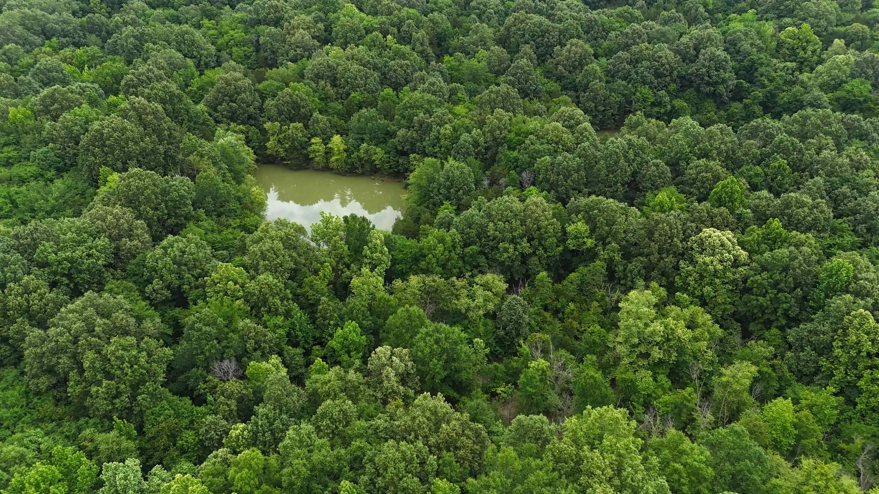 Photo 3 of Land for sale at 0 Rocky Point Rd, Cordova, TN 38018 | MLS# 10222728 | Listing updated on 2026-07-02