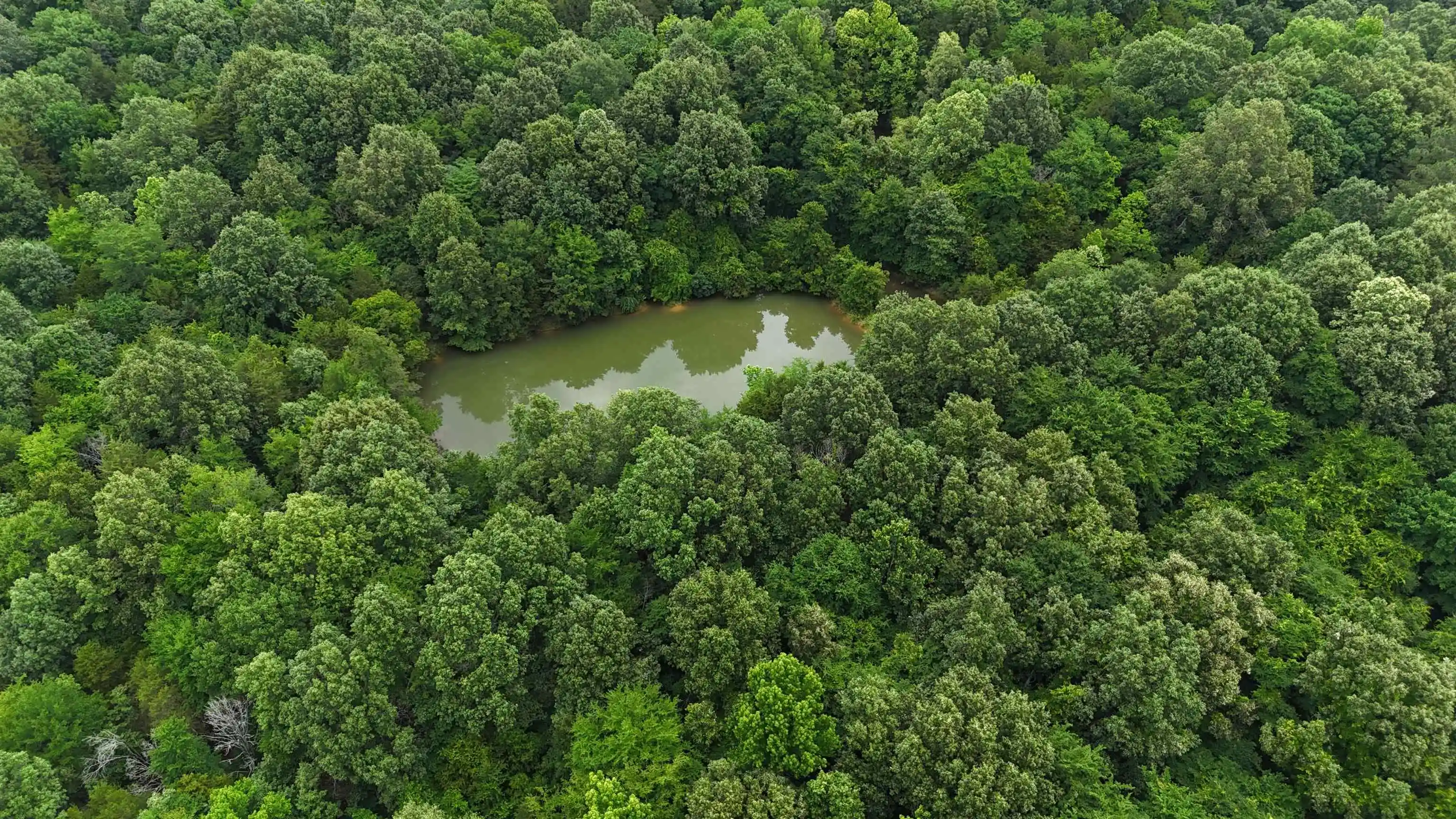 Photo 4 of Land for sale at 0 Rocky Point Rd, Cordova, TN 38018 | MLS# 10222728 | Listing updated on 2026-07-02
