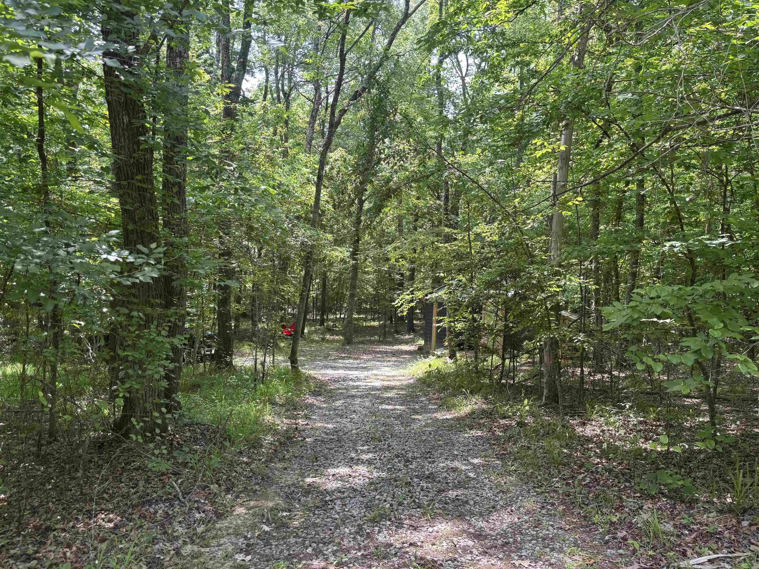 Homes for sale in Middleton, TN | 195 Acres Mcmahan Rd, Middleton, TN 38052 | MLS# 10222766