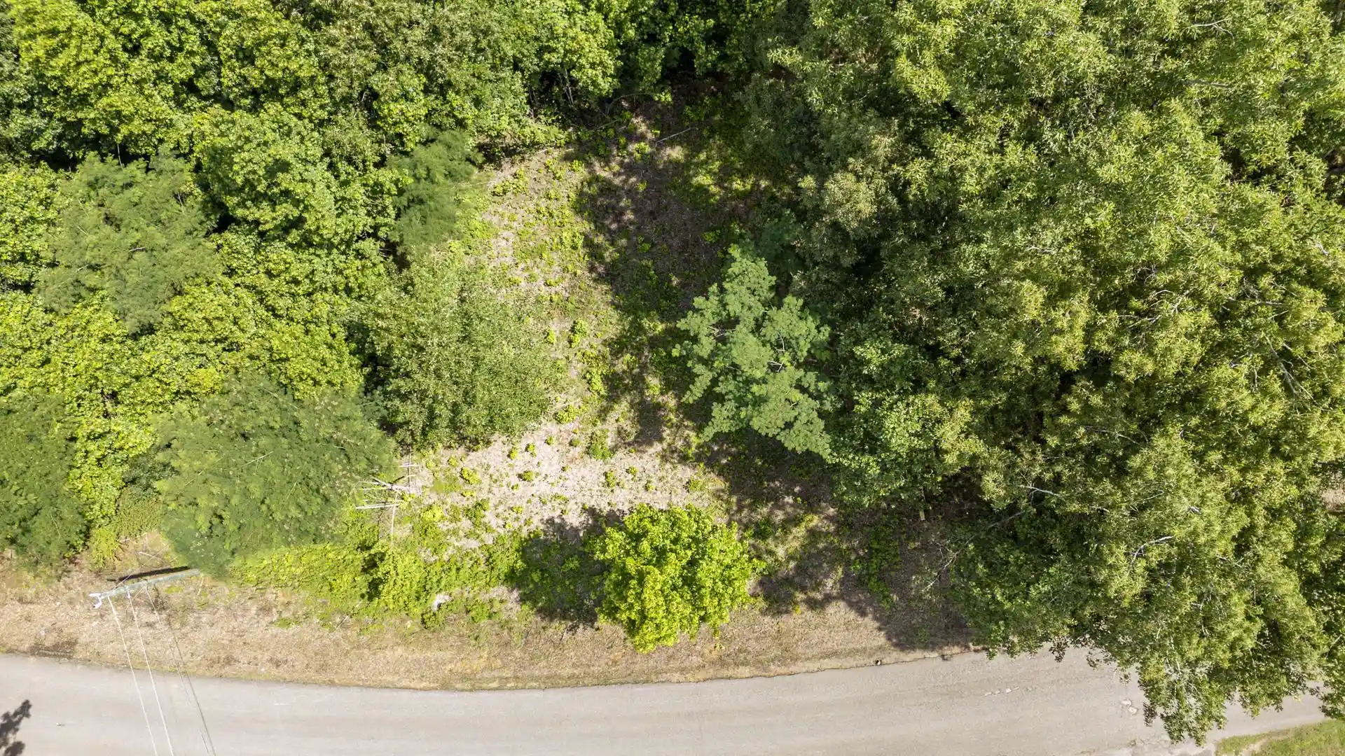 Photo 3 of Land for sale at Xxx Oak Grv Rd, Savannah, TN 38372 | MLS# 10222902 | Listing updated on 2026-08-19