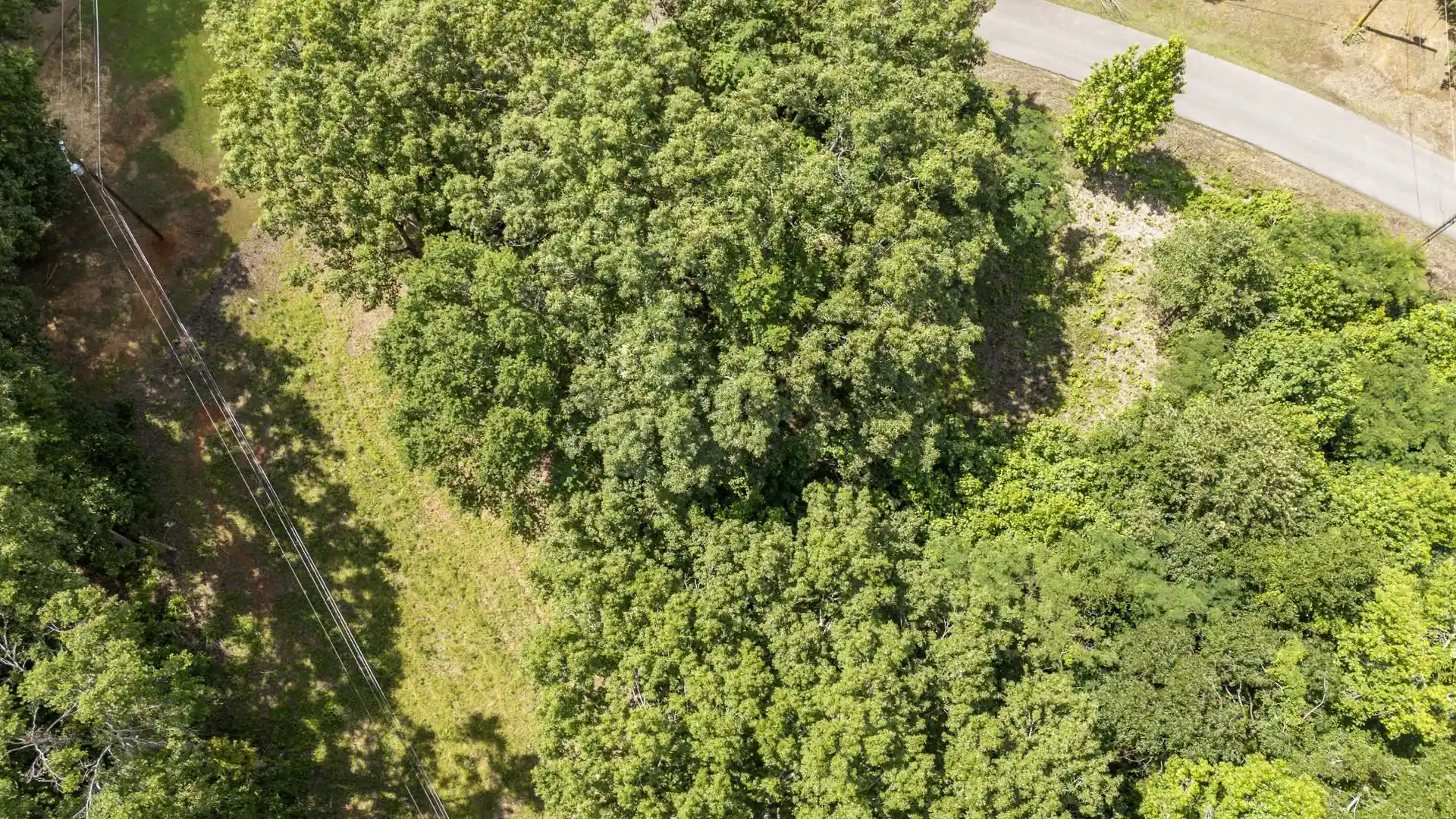 Photo 4 of Land for sale at Xxx Oak Grv Rd, Savannah, TN 38372 | MLS# 10222902 | Listing updated on 2026-08-19