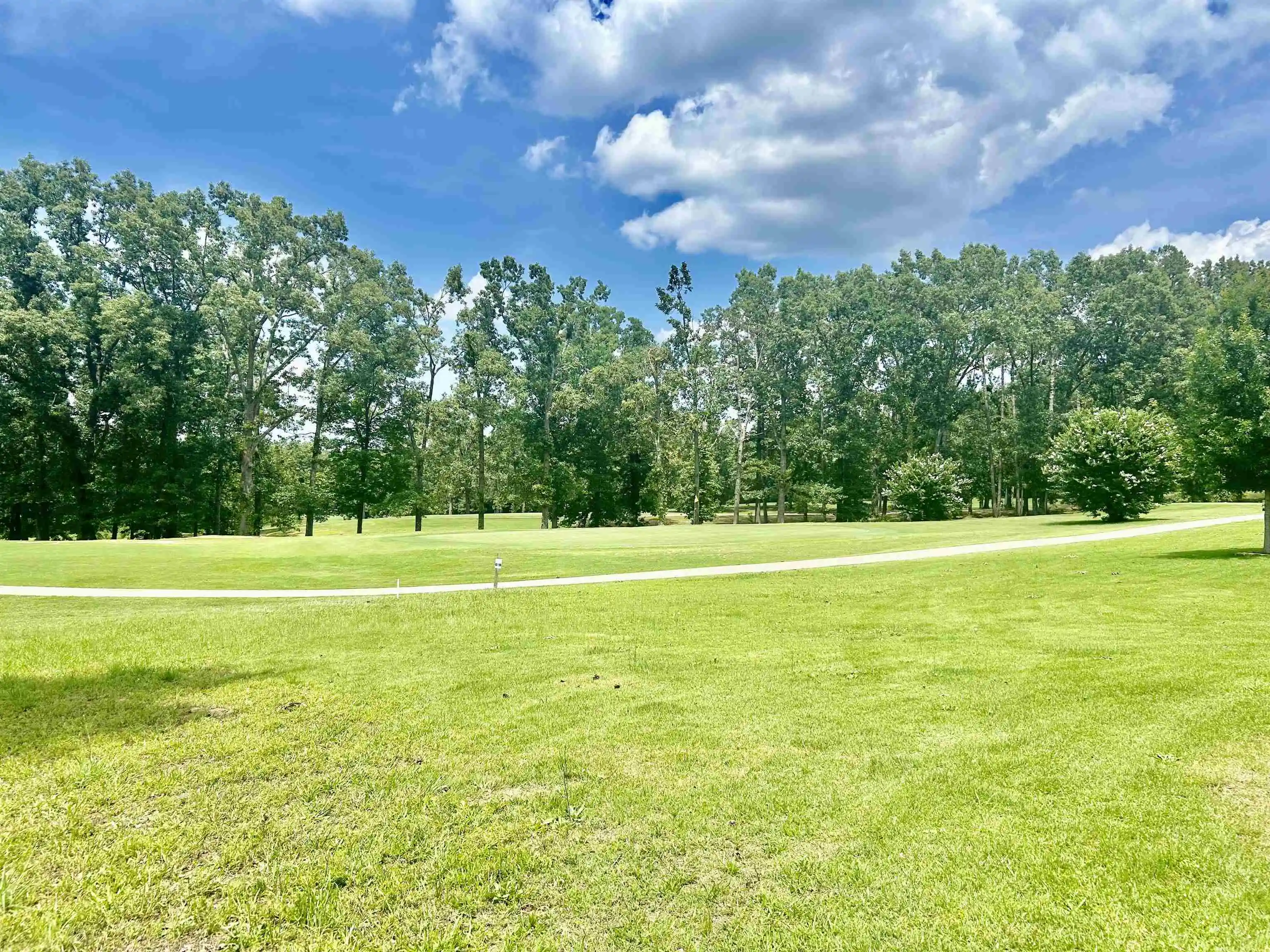 Photo 4 of Land for sale at 13 Legends Dr, Counce, TN 38326 | MLS# 10222953 | Listing updated on 2026-10-01