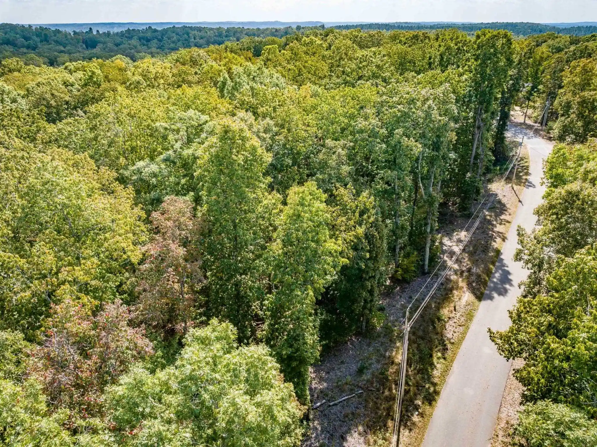 Homes for sale in Sugar Tree, TN | Lot 14/16 Ridgeway Dr, Sugar Tree, TN 38380 | MLS# 10222960