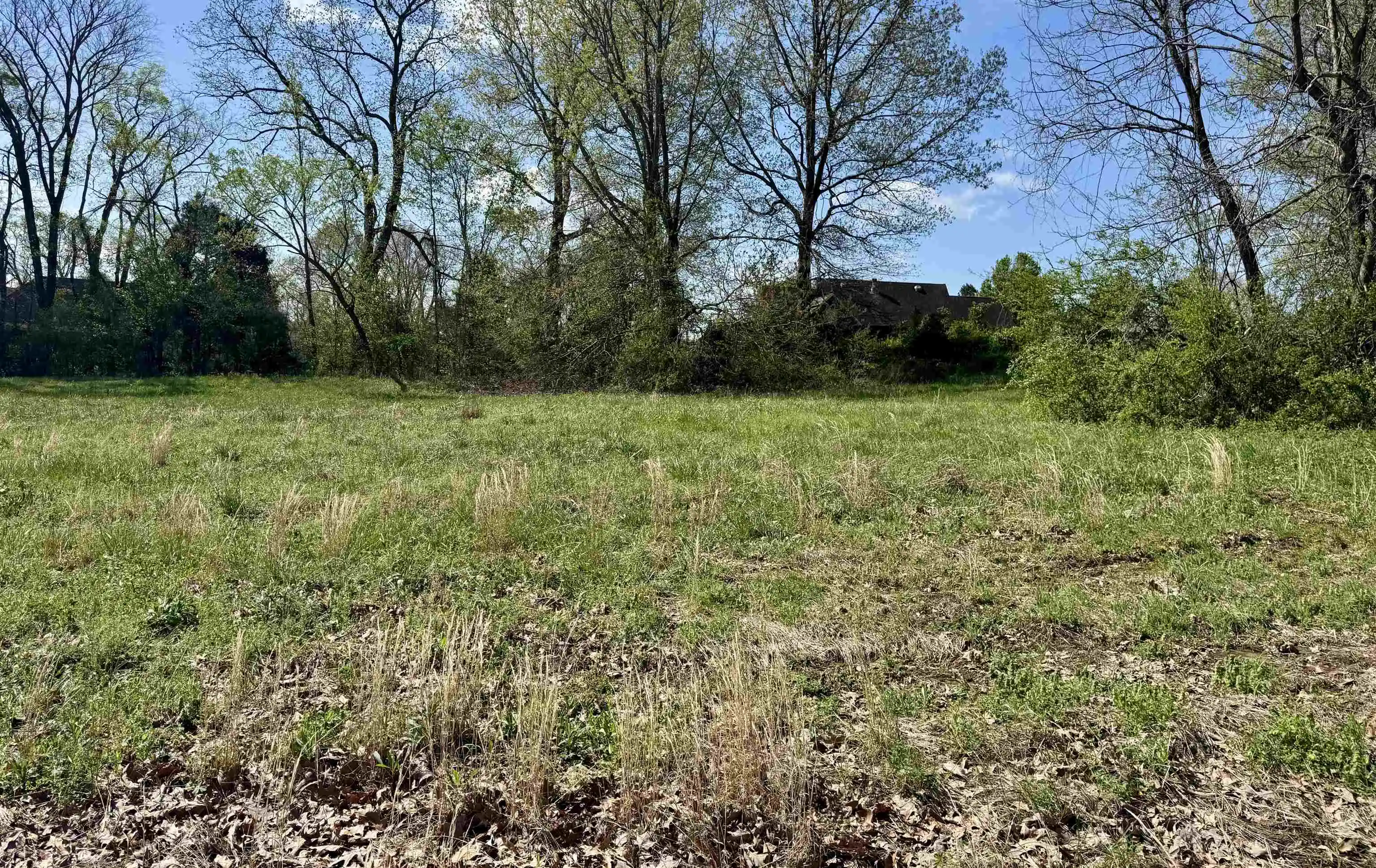 Homes for sale in Ripley, TN | 059 York Cmns St, Ripley, TN 38063 | MLS# 10223026