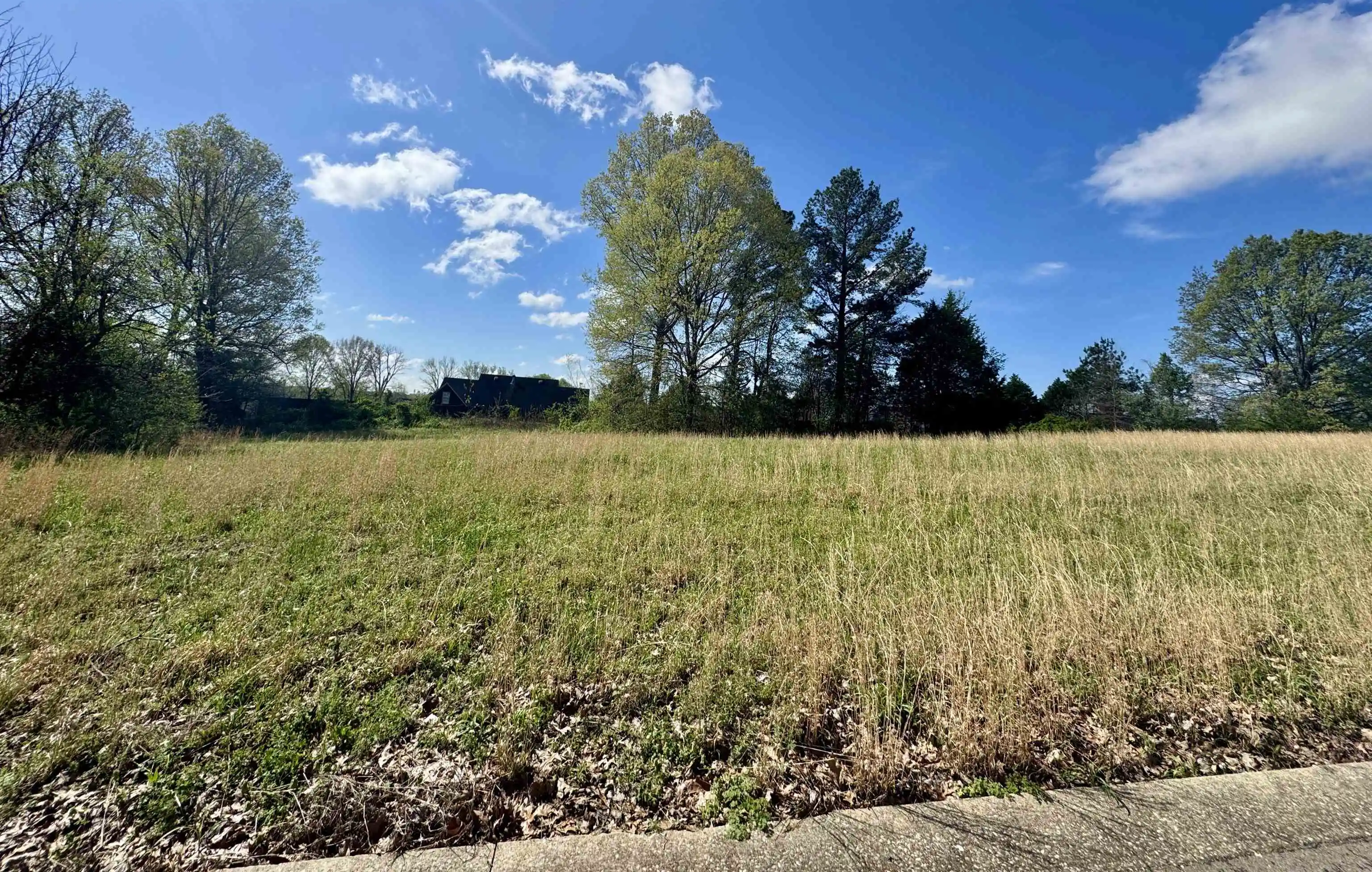 Homes for sale in Ripley, TN | 060 York Cmns St, Ripley, TN 38063 | MLS# 10223027