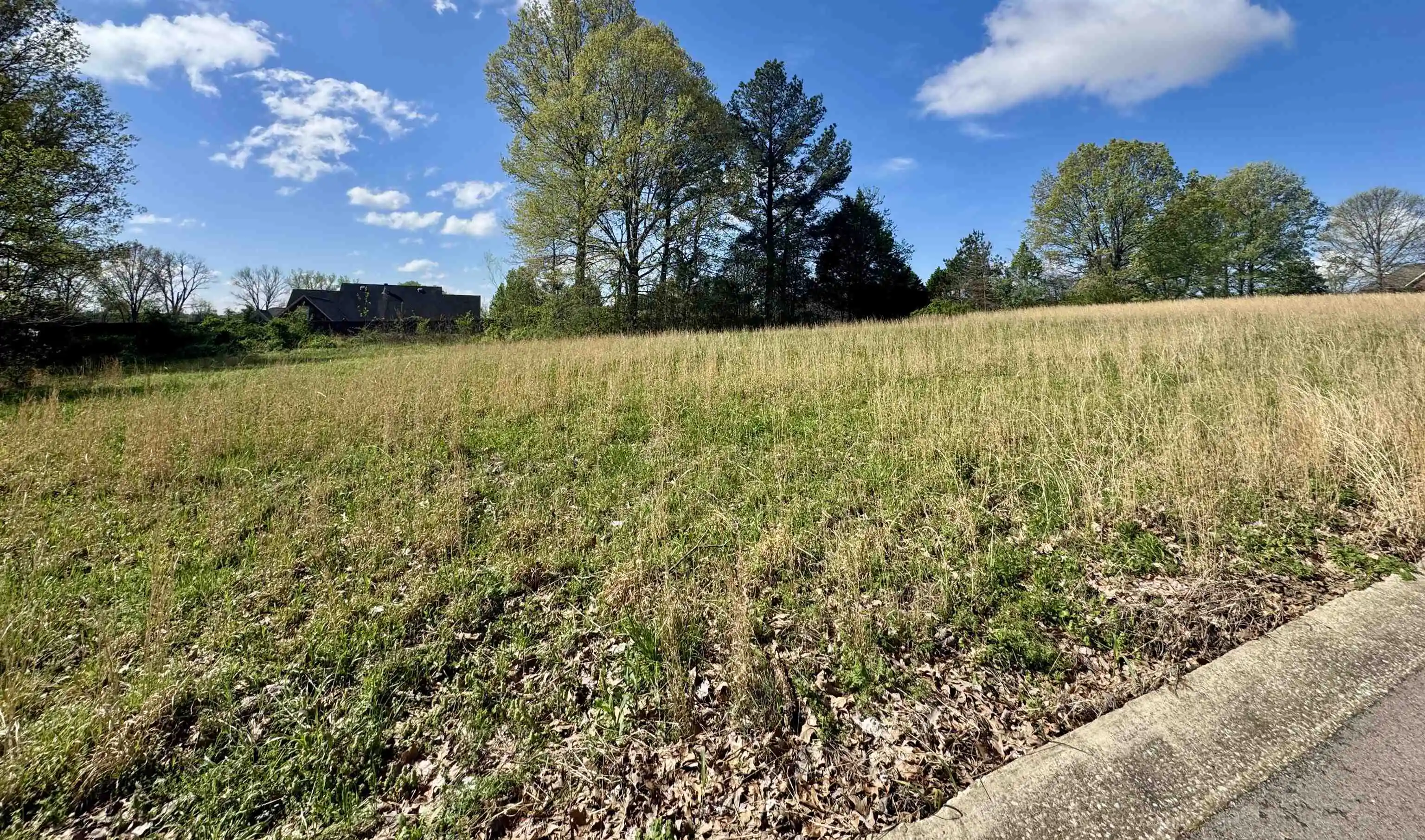 Homes for sale in Ripley, TN | 060 York Cmns St, Ripley, TN 38063 | MLS# 10223027