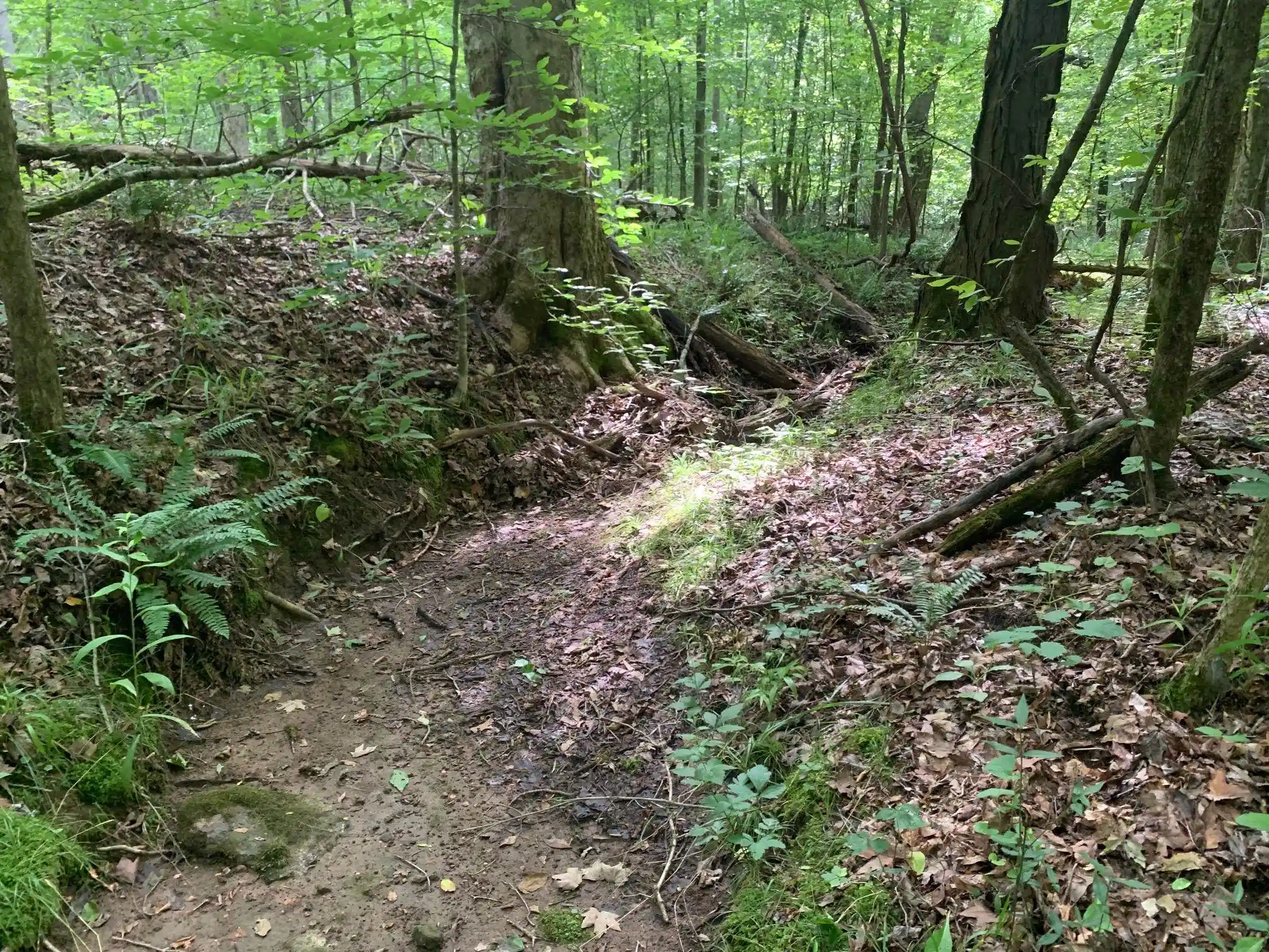 Photo 3 of Land for sale at Cave Hollow Ln, Savannah, TN 38372 | MLS# 10223038 | Listing updated on 2026-08-13