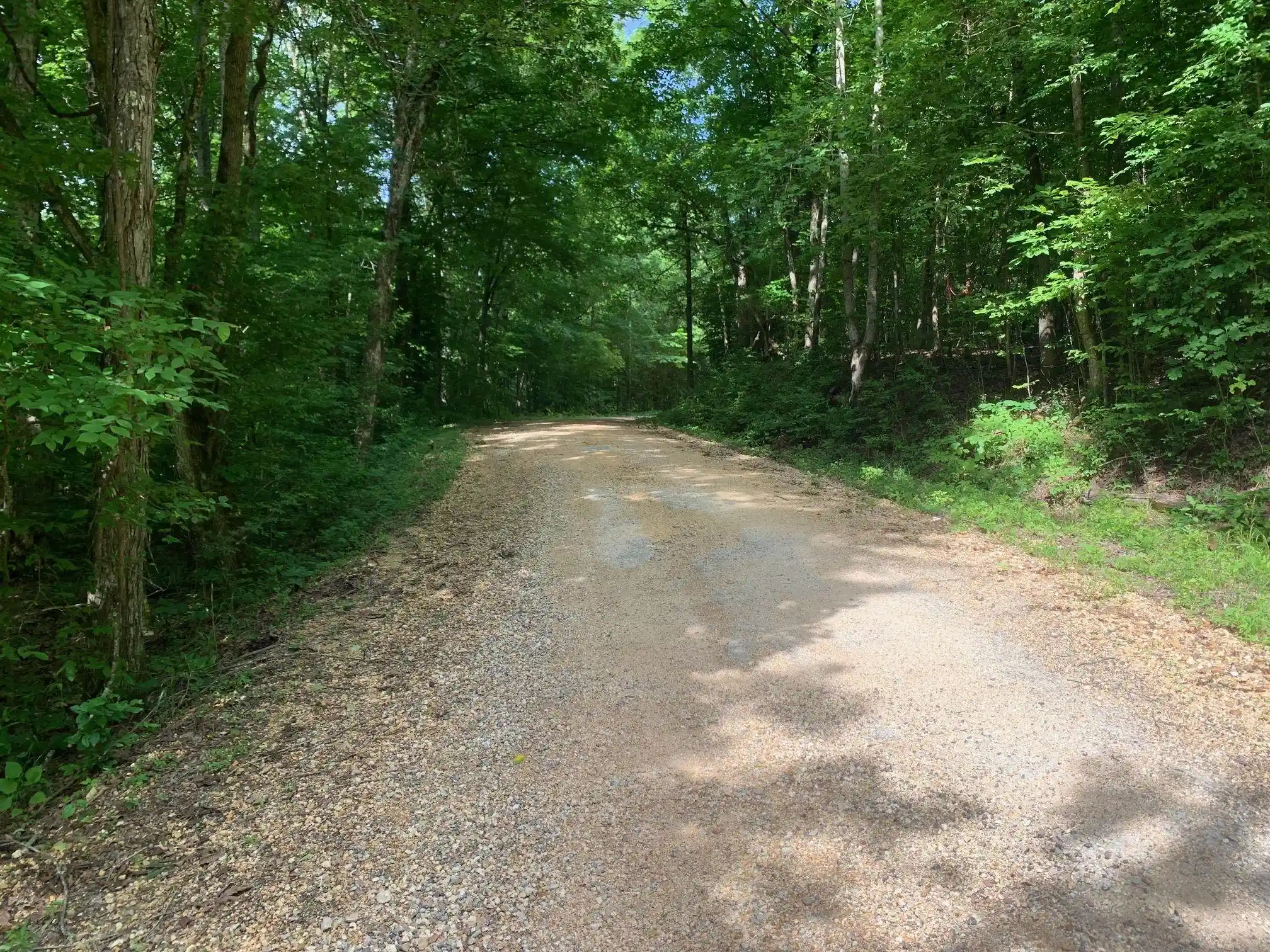 Photo 4 of Land for sale at Cave Hollow Ln, Savannah, TN 38372 | MLS# 10223038 | Listing updated on 2026-08-13