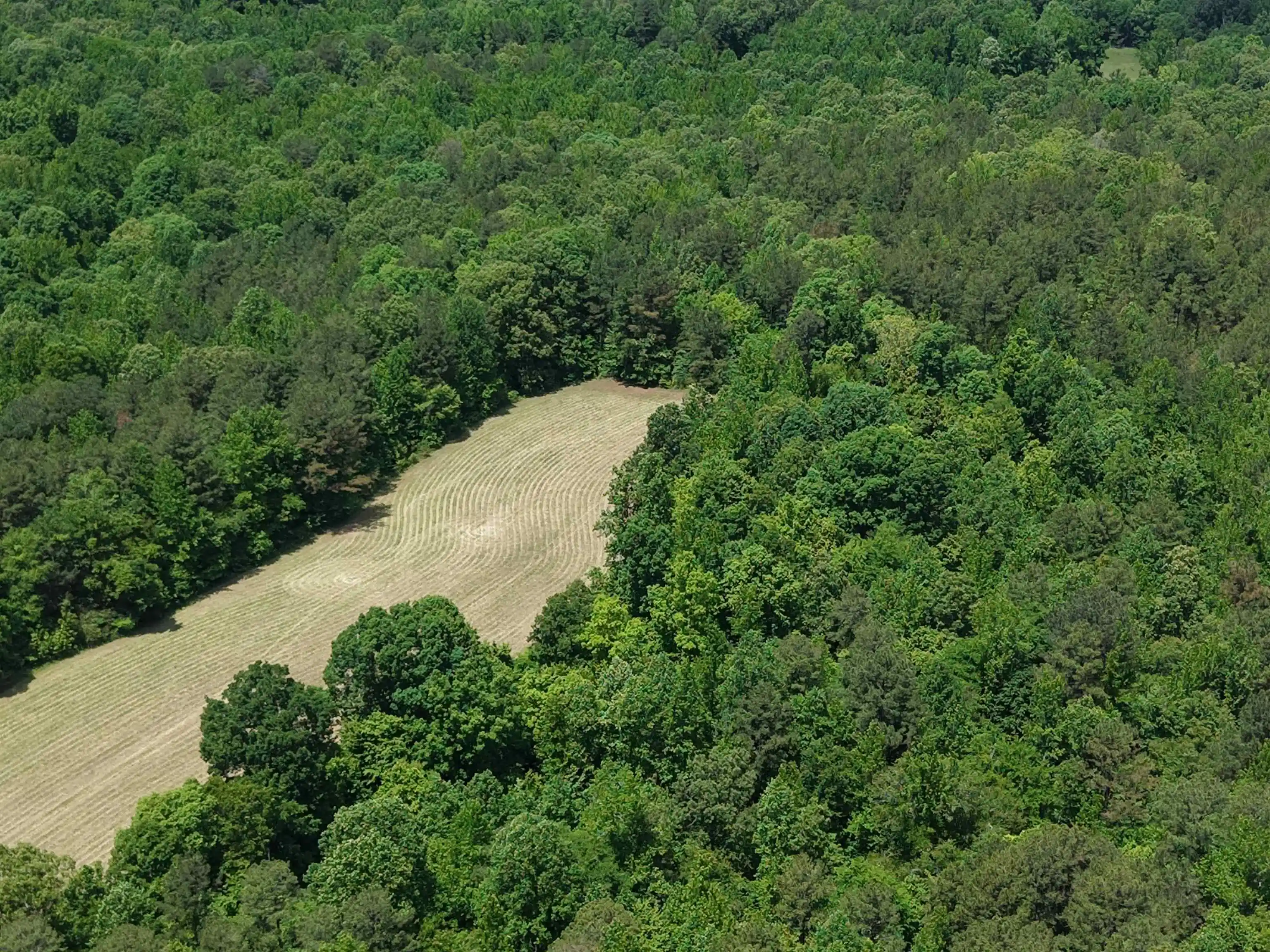 Homes for sale in Bolivar, TN | 0 Silerton Rd, Bolivar, TN 38008 | MLS# 10223158