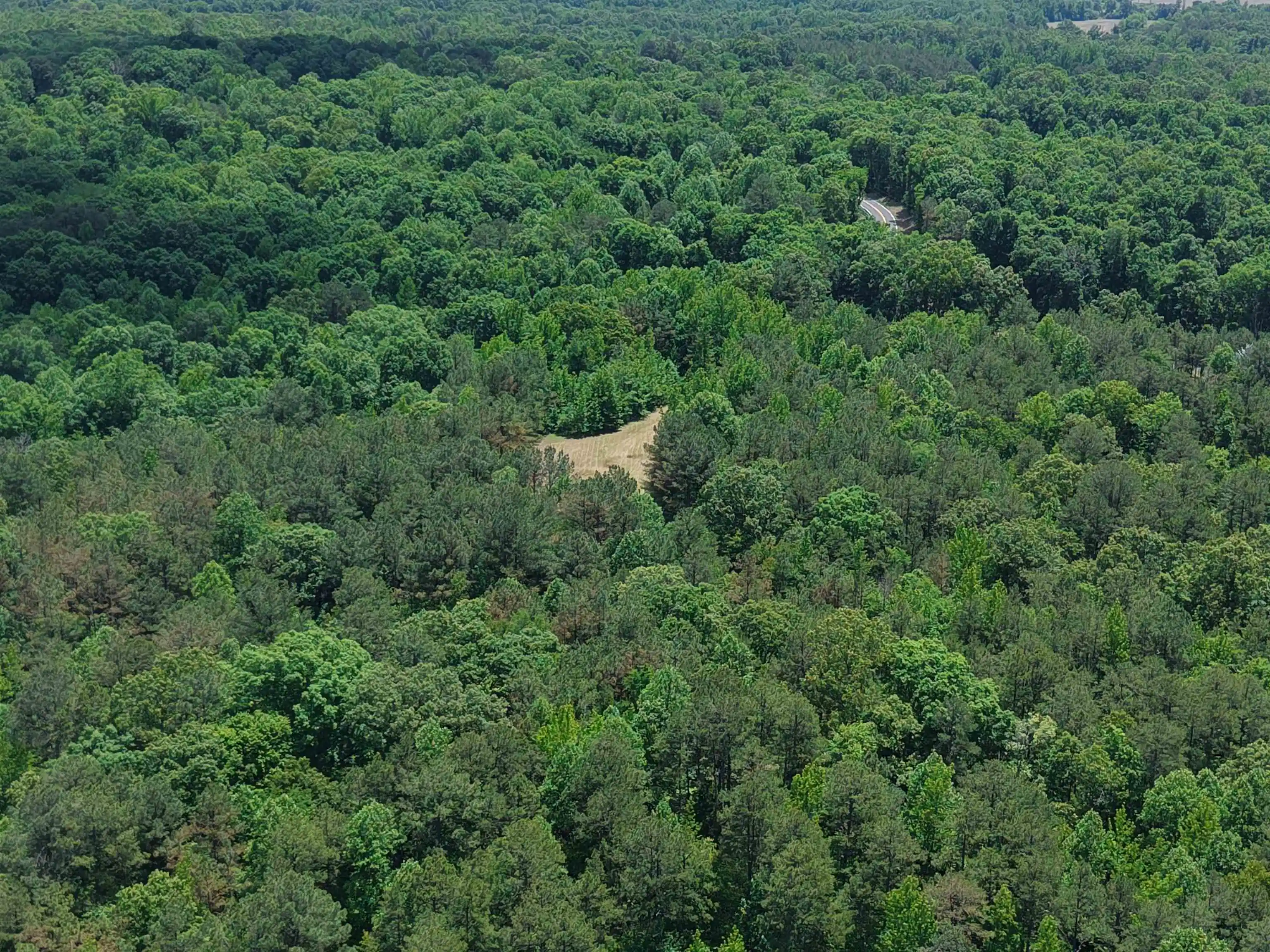 Homes for sale in Bolivar, TN | 0 Silerton Rd, Bolivar, TN 38008 | MLS# 10223158
