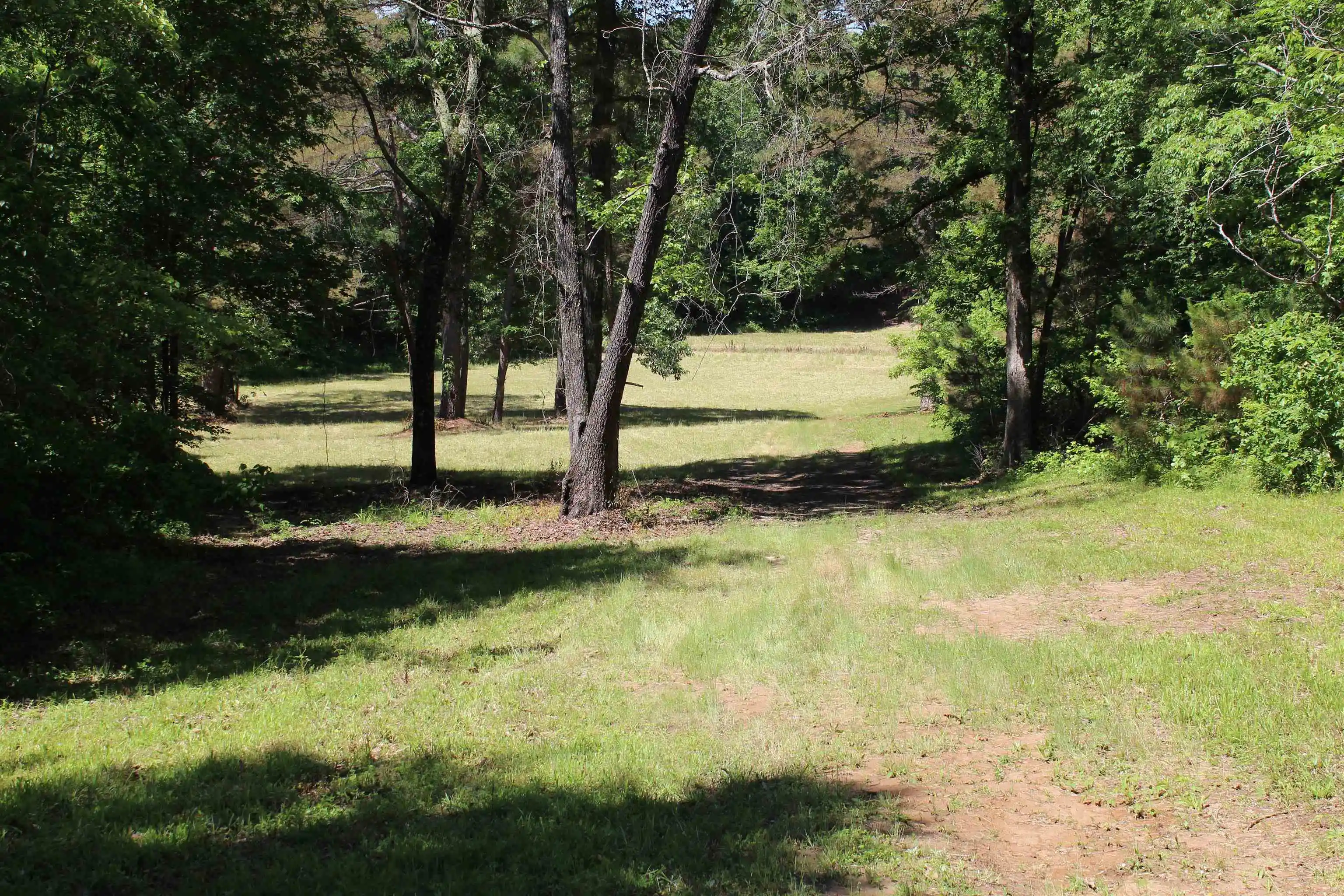Homes for sale in Bolivar, TN | 0 Silerton Rd, Bolivar, TN 38008 | MLS# 10223158