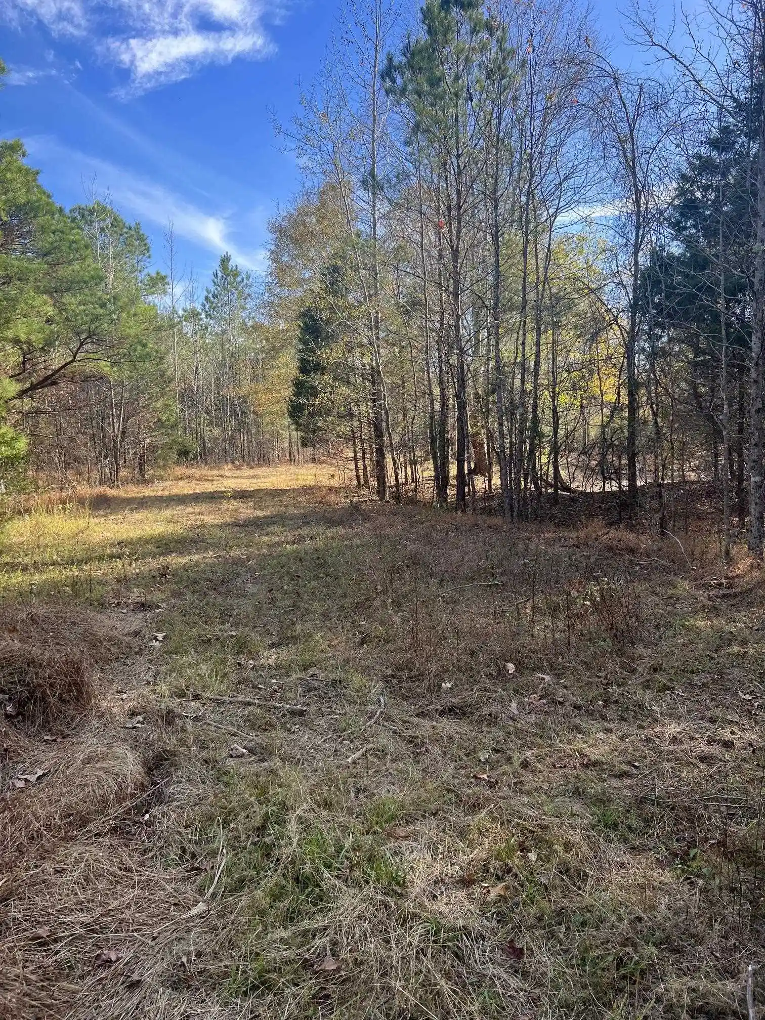 Homes for sale in Moscow, TN | 0 Hwy 57 Hwy, Moscow, TN 38057 | MLS# 10223248