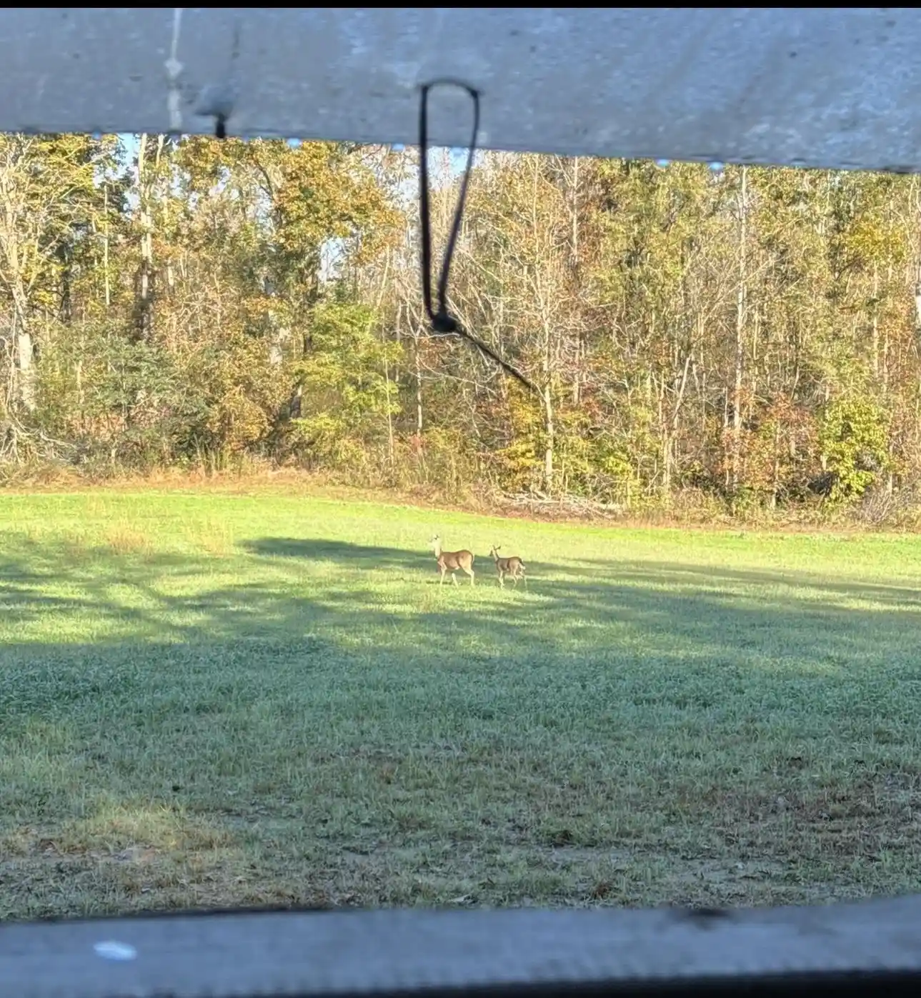 3rd image of 0 Sneed Rd, Drummonds, TN 38023 | MLS# 10223261