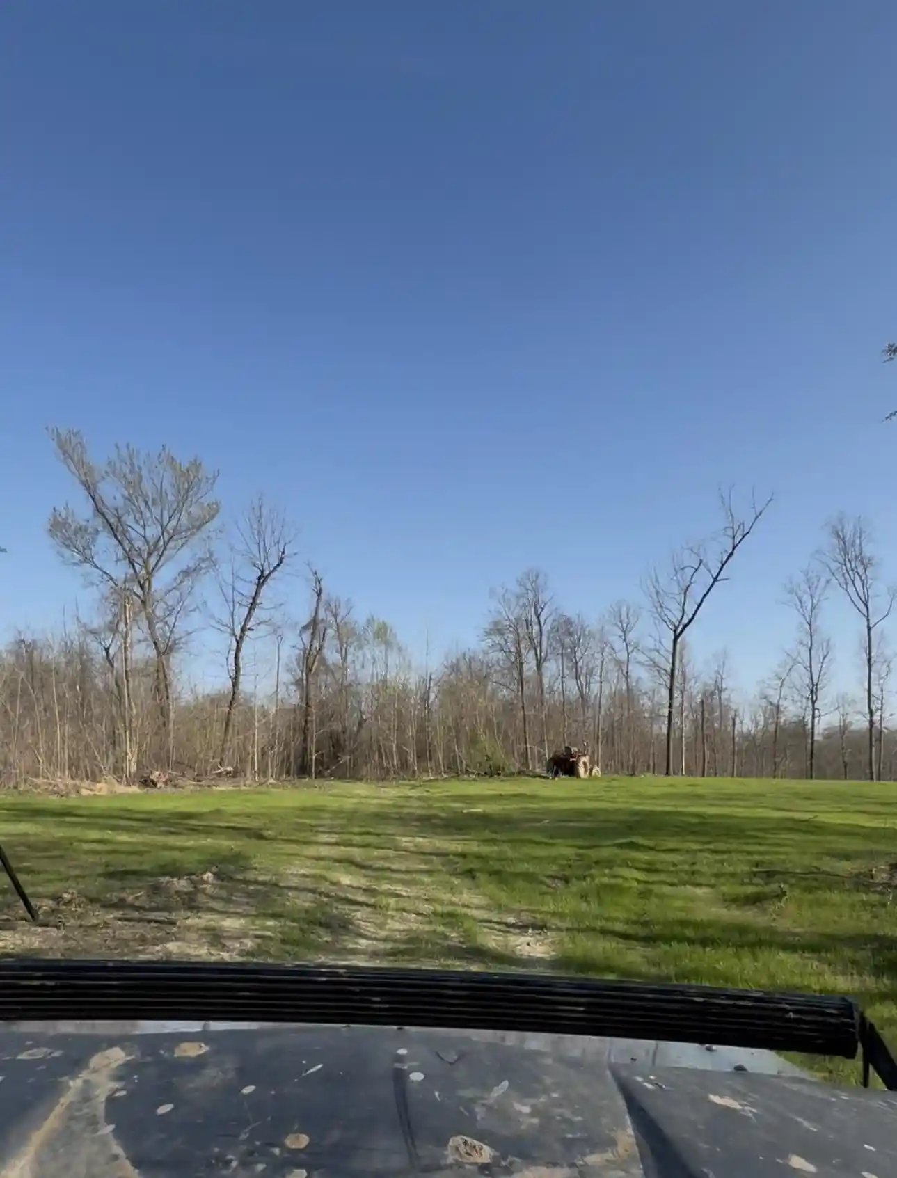 4th image of 0 Sneed Rd, Drummonds, TN 38023 | MLS# 10223261