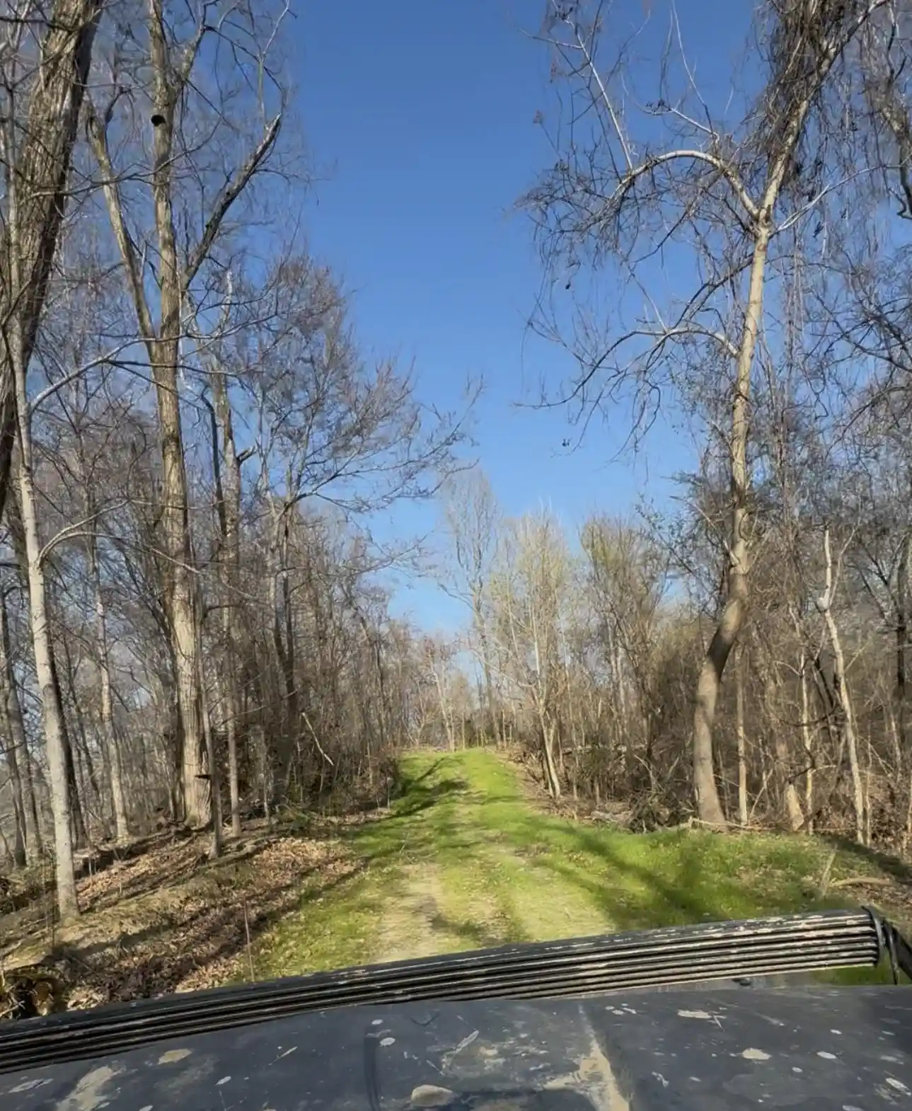 5th image of 0 Sneed Rd, Drummonds, TN 38023 | MLS# 10223261