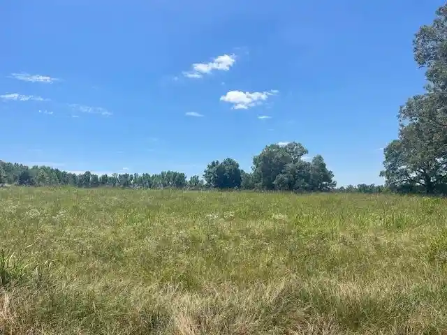 Homes for sale in Williston, TN | 2380 Watkins Dr, Williston, TN 38076 | MLS# 10223321
