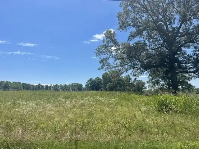 Photo 3 of Land for sale at 2380 Watkins Dr, Moscow, TN 38057 | MLS# 10223321 | Listing updated on 2026-06-06