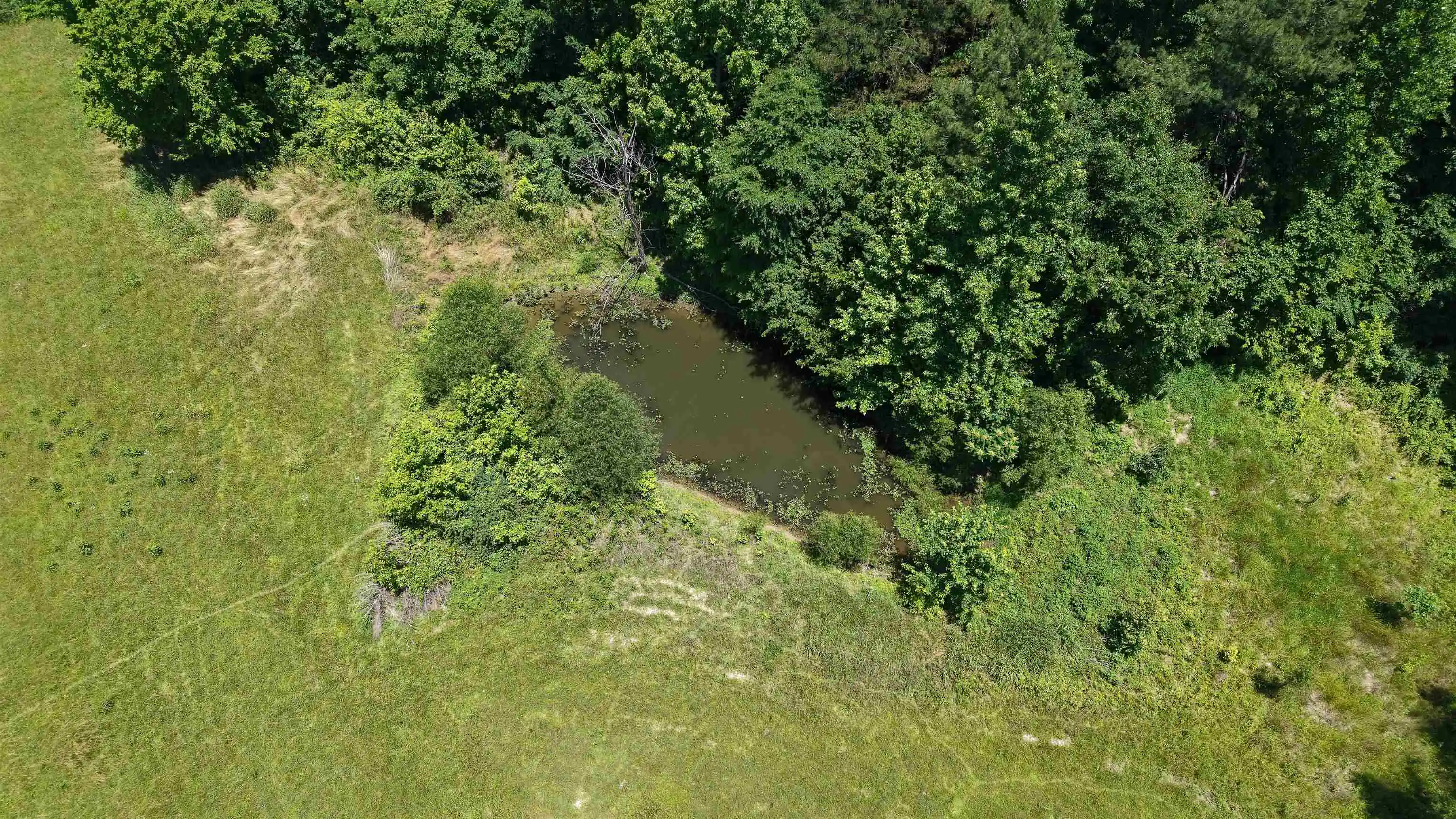 3rd image of 000 Holly Grove Rd, Covington, TN 38019 | MLS# 10223347