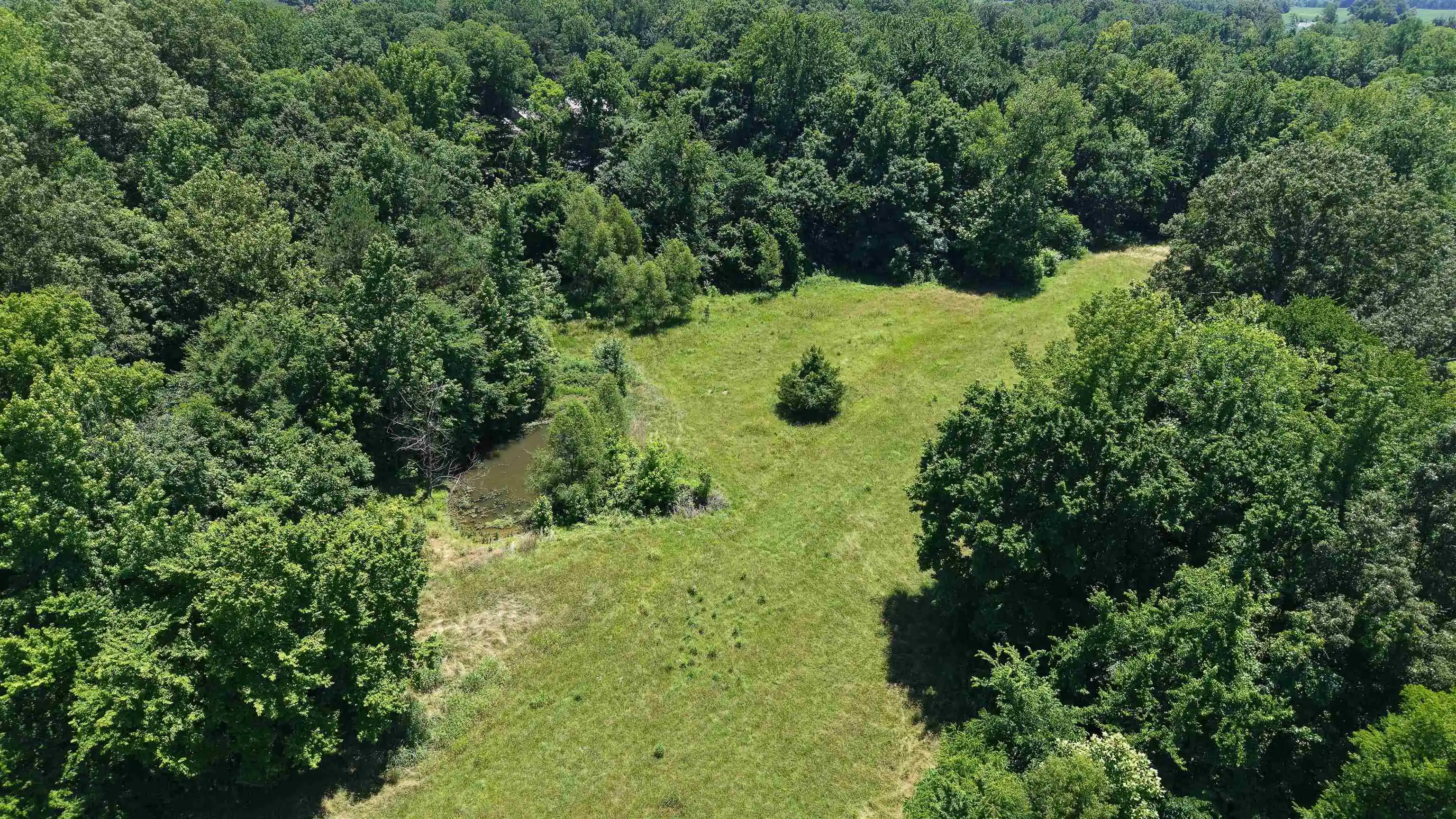 5th image of 000 Holly Grove Rd, Covington, TN 38019 | MLS# 10223347