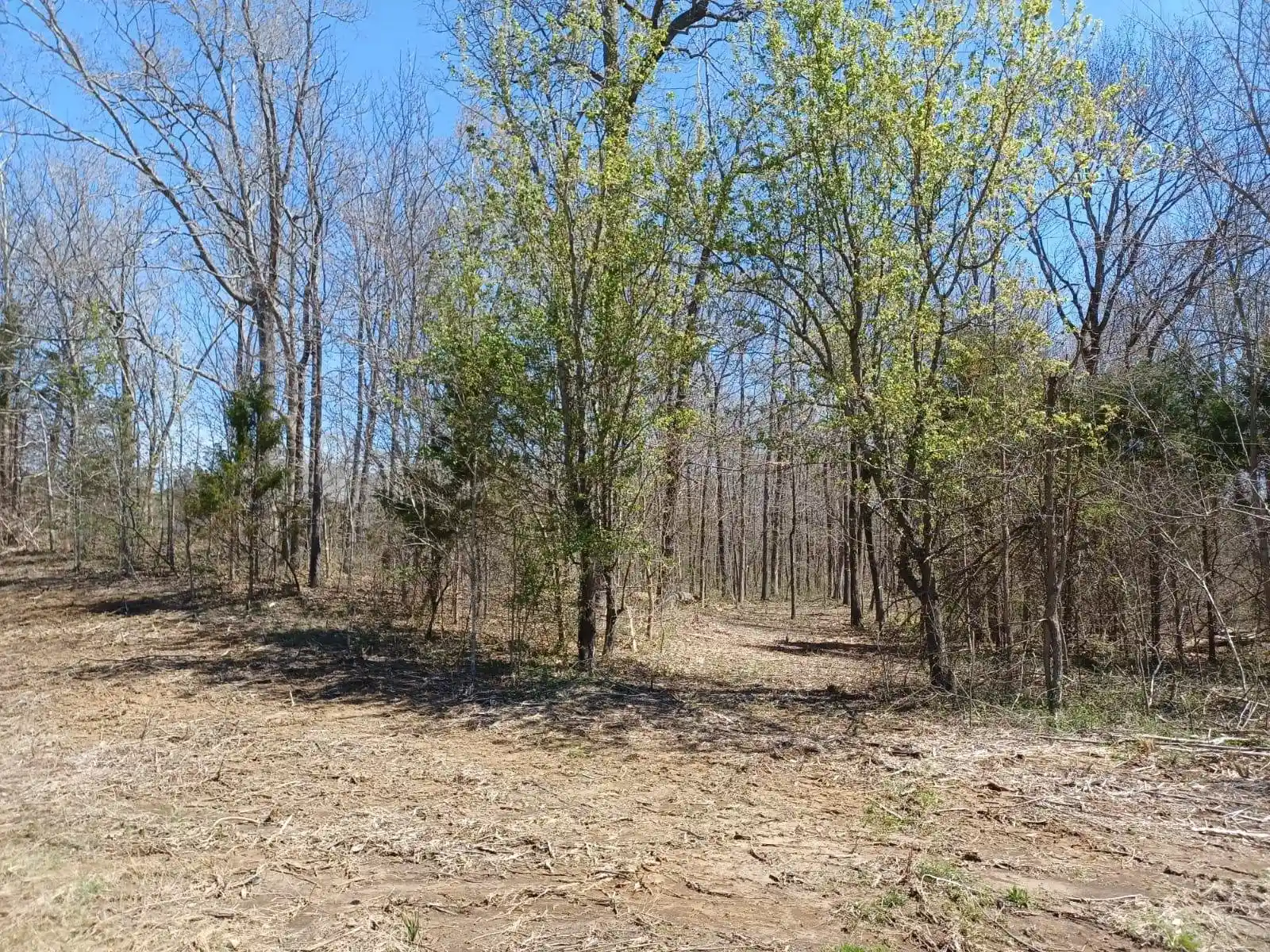 Homes for sale in Moscow, TN | 0 Price Rd, Moscow, TN 38057 | MLS# 10223414