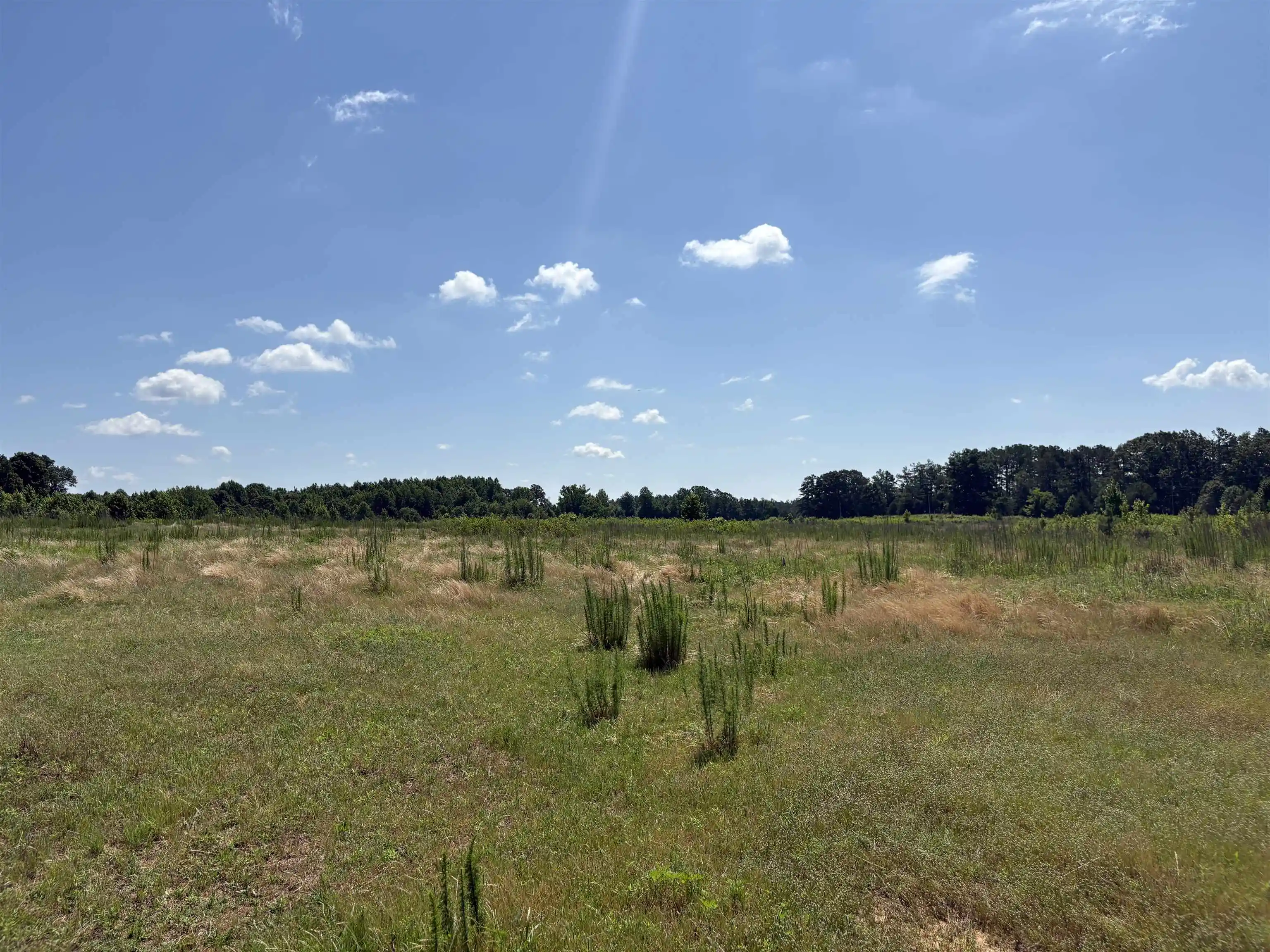 3rd image of 0 Beauty Hill Rd #Lot 2, Bethel Springs, TN 38315 | MLS# 10223459