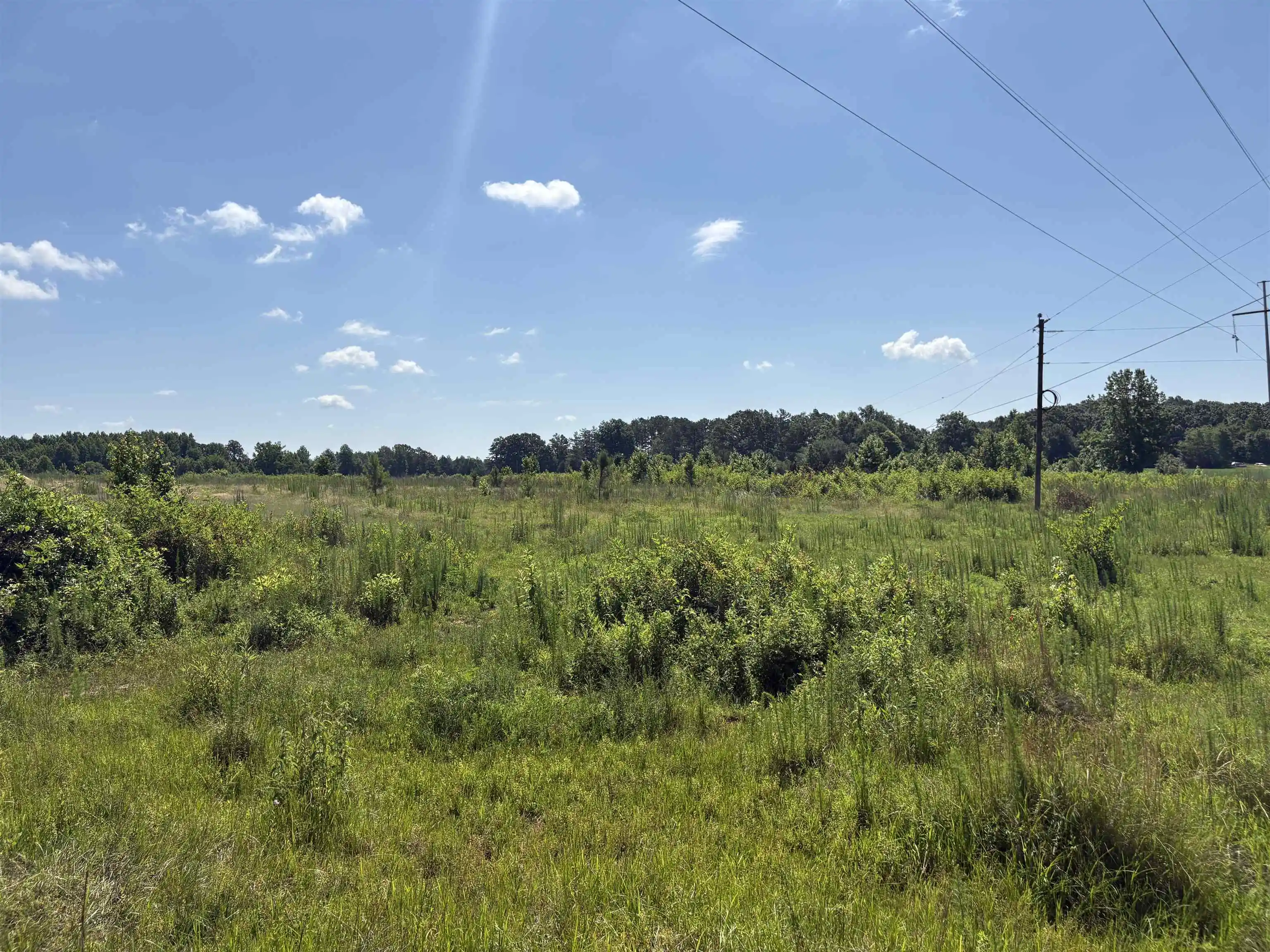 4th image of 0 Beauty Hill Rd #Lot 2, Bethel Springs, TN 38315 | MLS# 10223459