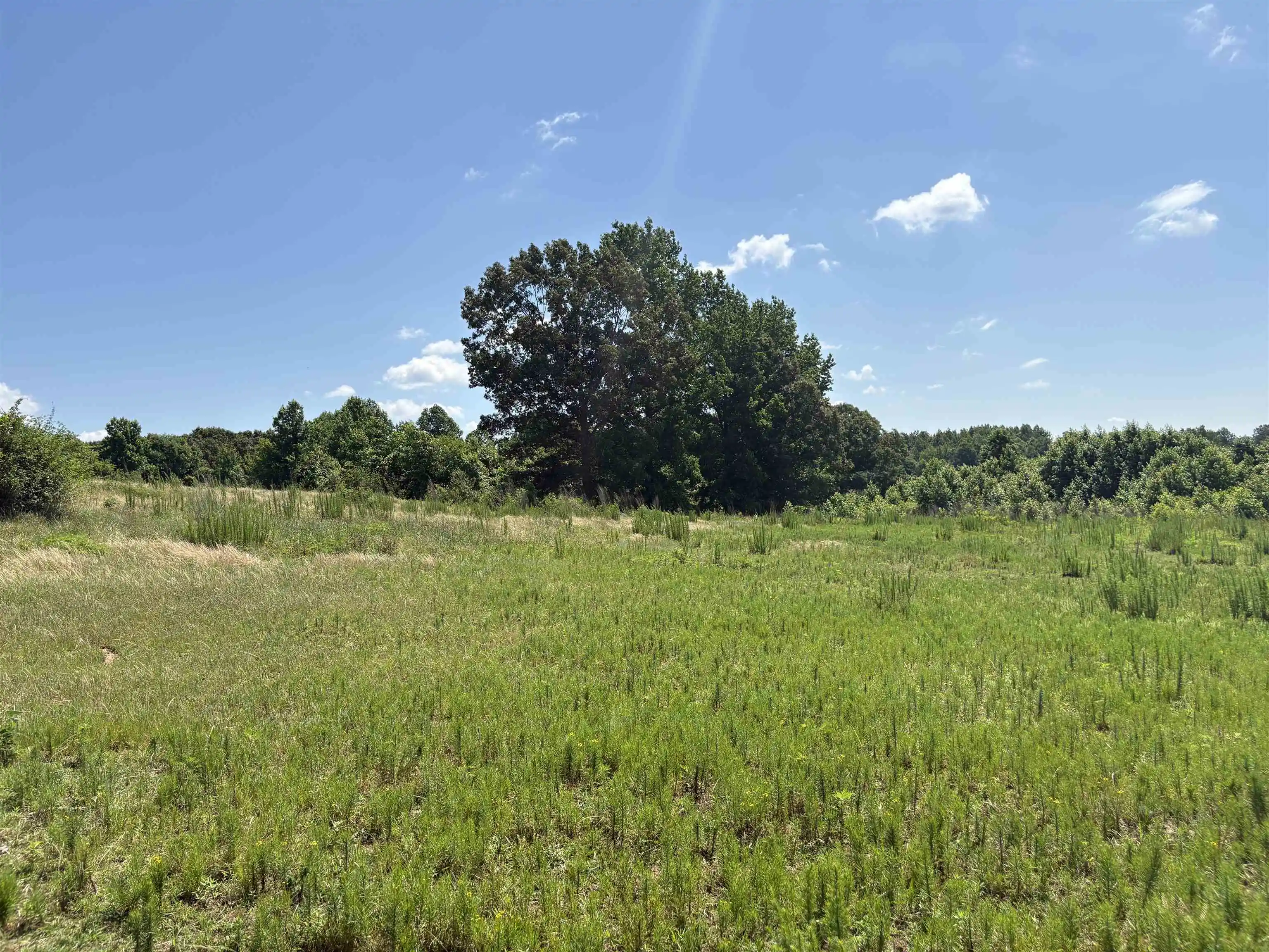 5th image of 0 Beauty Hill Rd #Lot 2, Bethel Springs, TN 38315 | MLS# 10223459