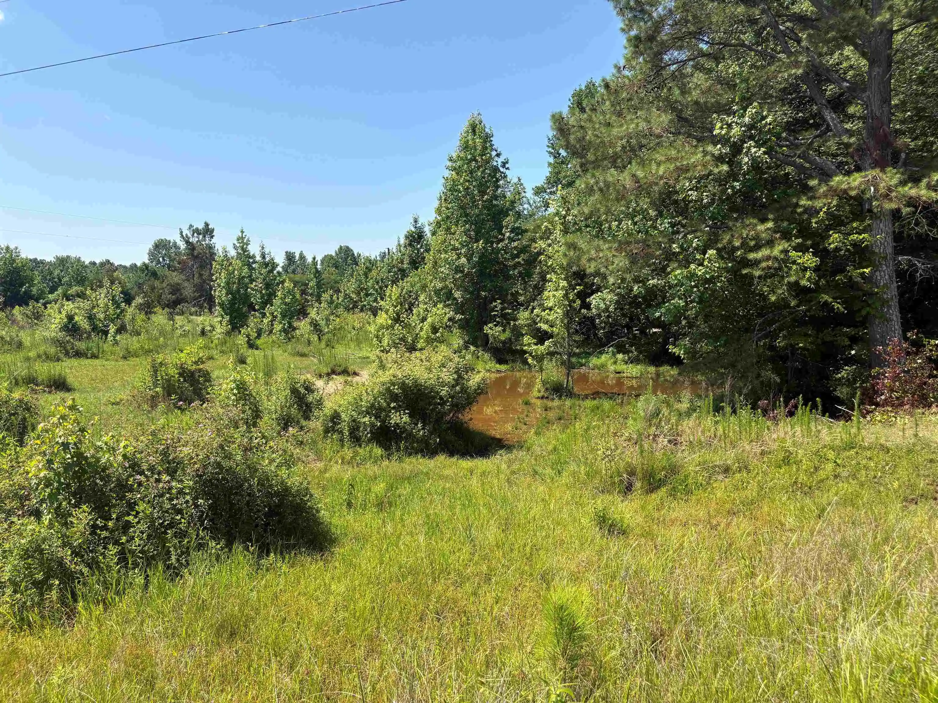 23rd image of 0 Beauty Hill Rd #Lot 2, Bethel Springs, TN 38315 | MLS# 10223459