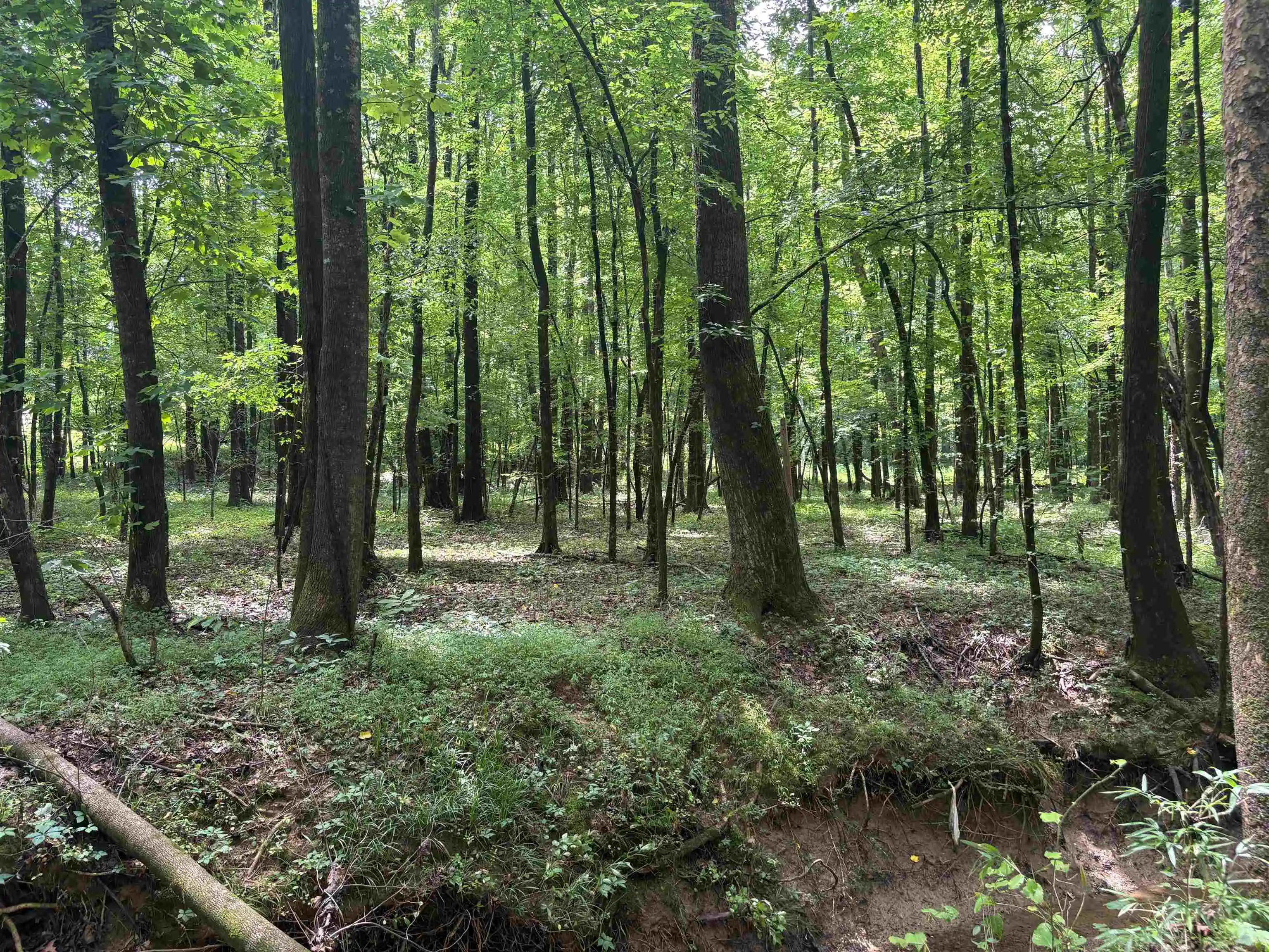 4th image of 0 Billy Maher Rd, Bartlett, TN 38135 | MLS# 10223508
