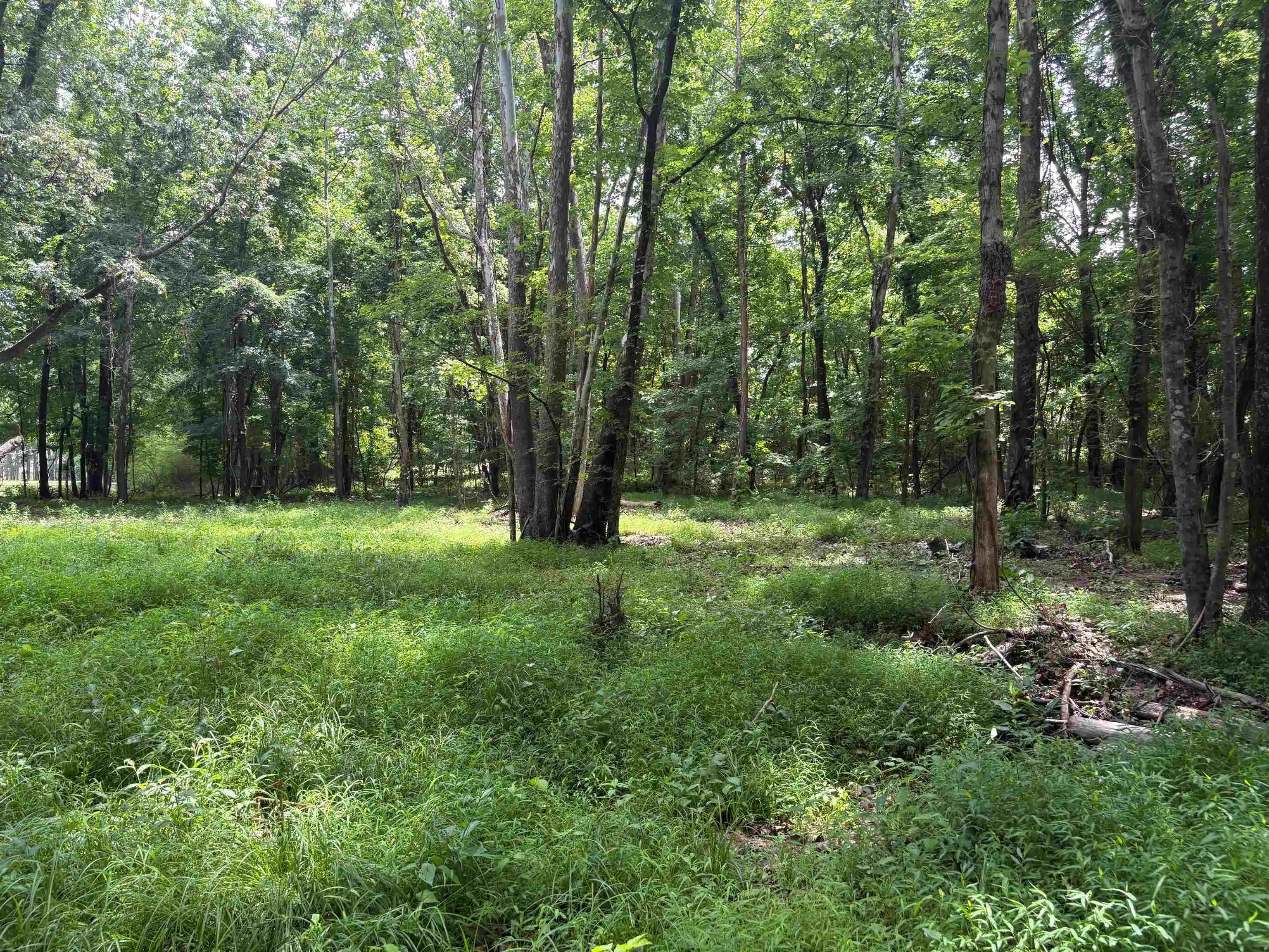 5th image of 0 Billy Maher Rd, Bartlett, TN 38135 | MLS# 10223508