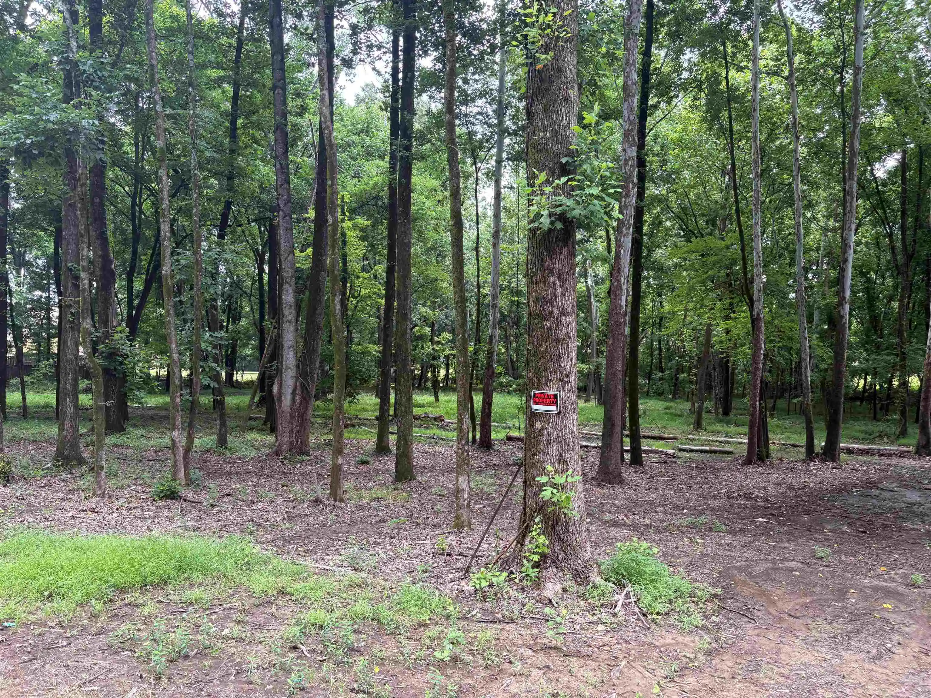 19th image of 0 Billy Maher Rd, Bartlett, TN 38135 | MLS# 10223508