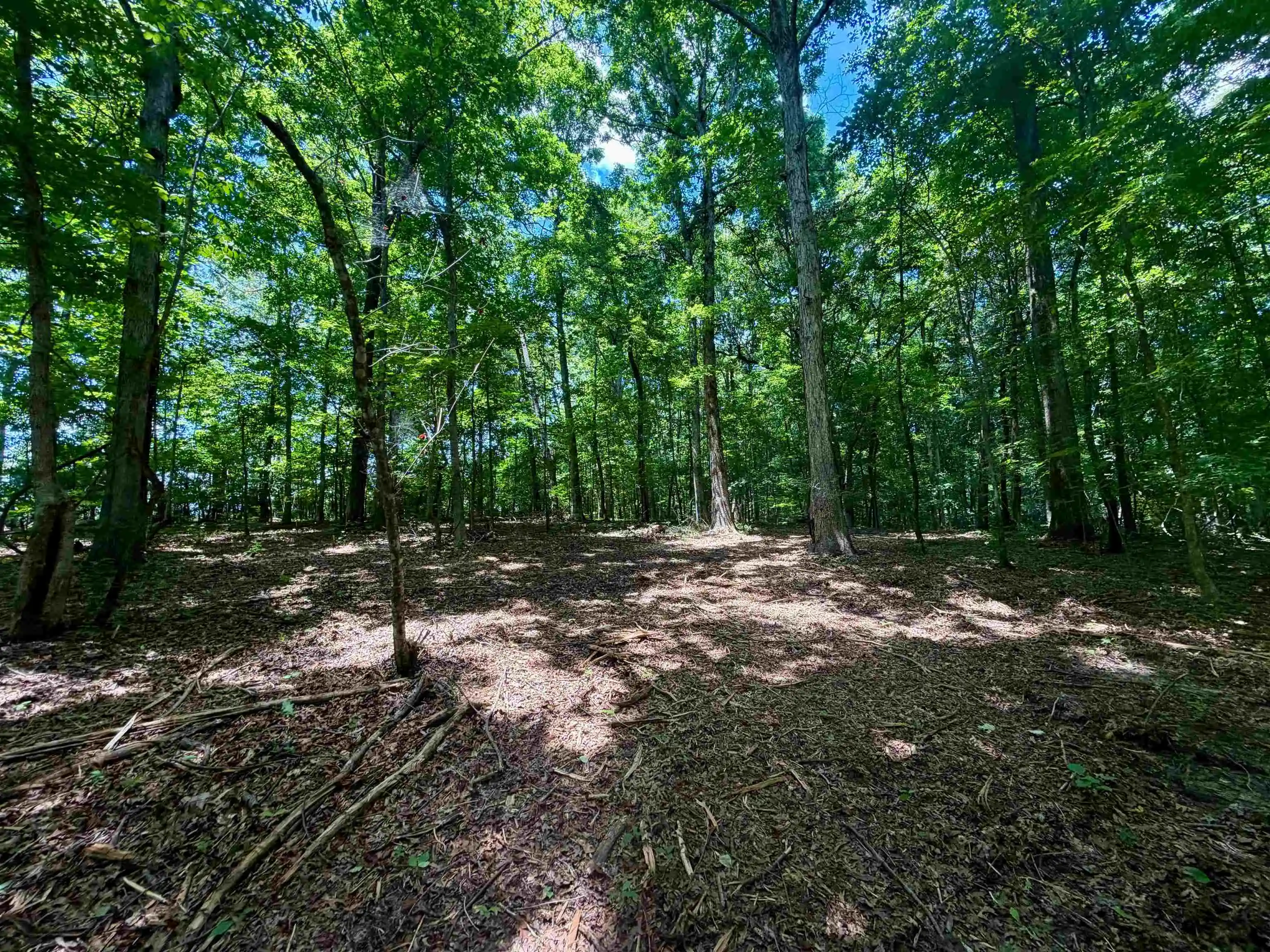 Homes for sale in Somerville, TN | 4037 Ac Smyrna Rd, Somerville, TN 38068 | MLS# 10223515