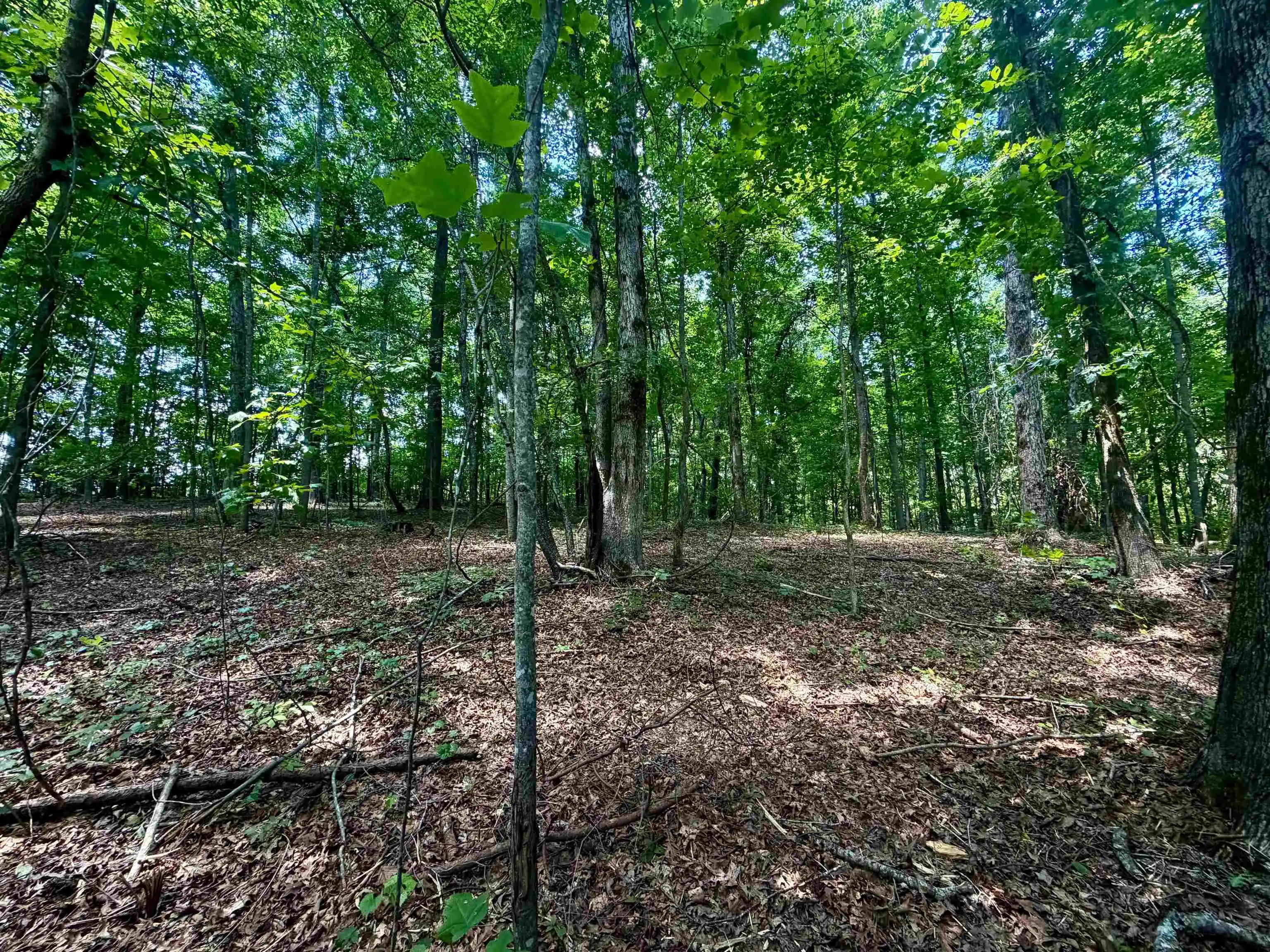 Homes for sale in Somerville, TN | 4037 Ac Smyrna Rd, Somerville, TN 38068 | MLS# 10223515