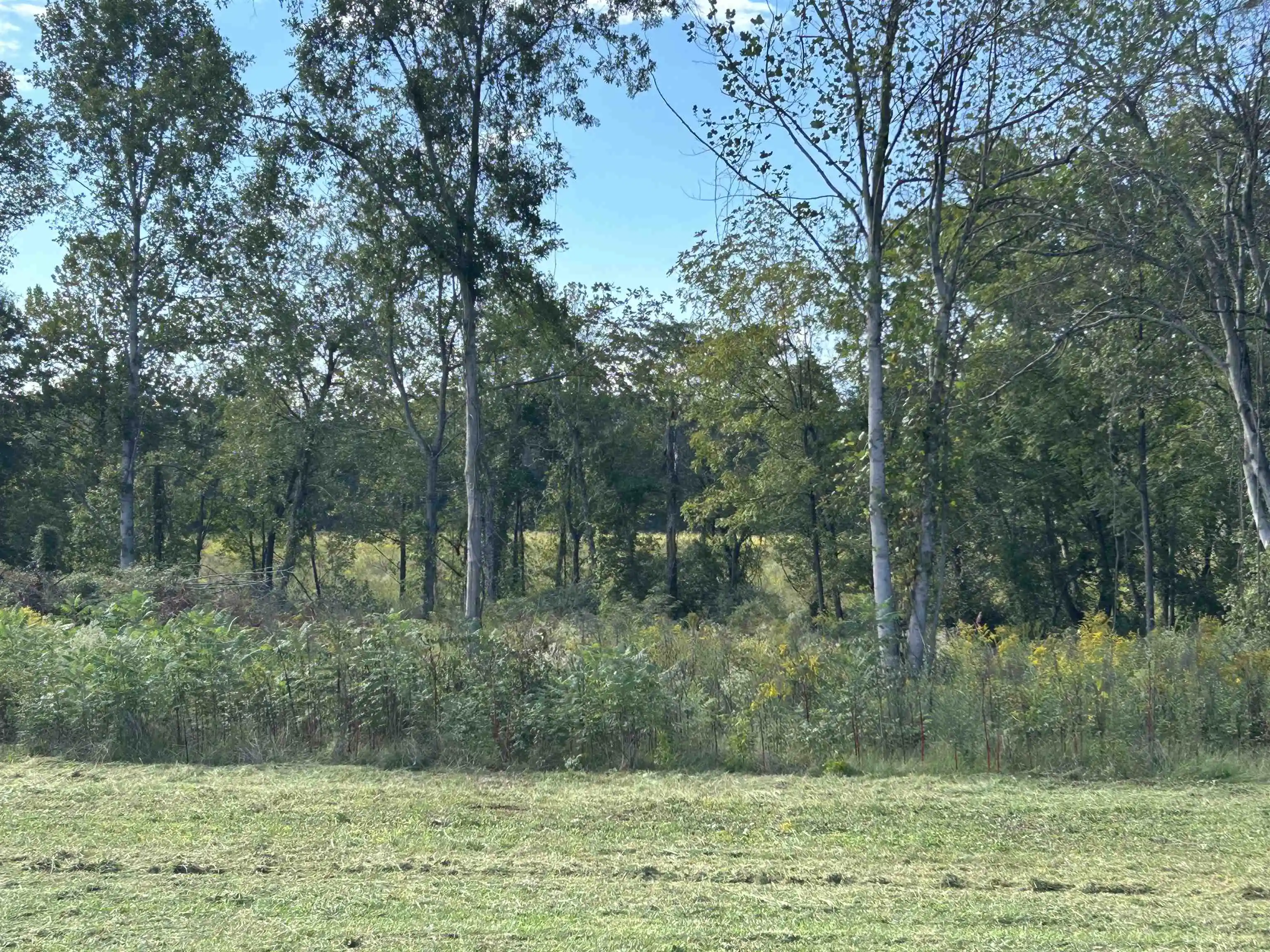 Photo 3 of Land for sale at Lot 35 Cordova Cv, Savannah, TN 38372 | MLS# 10223552 | Listing updated on 2026-07-06