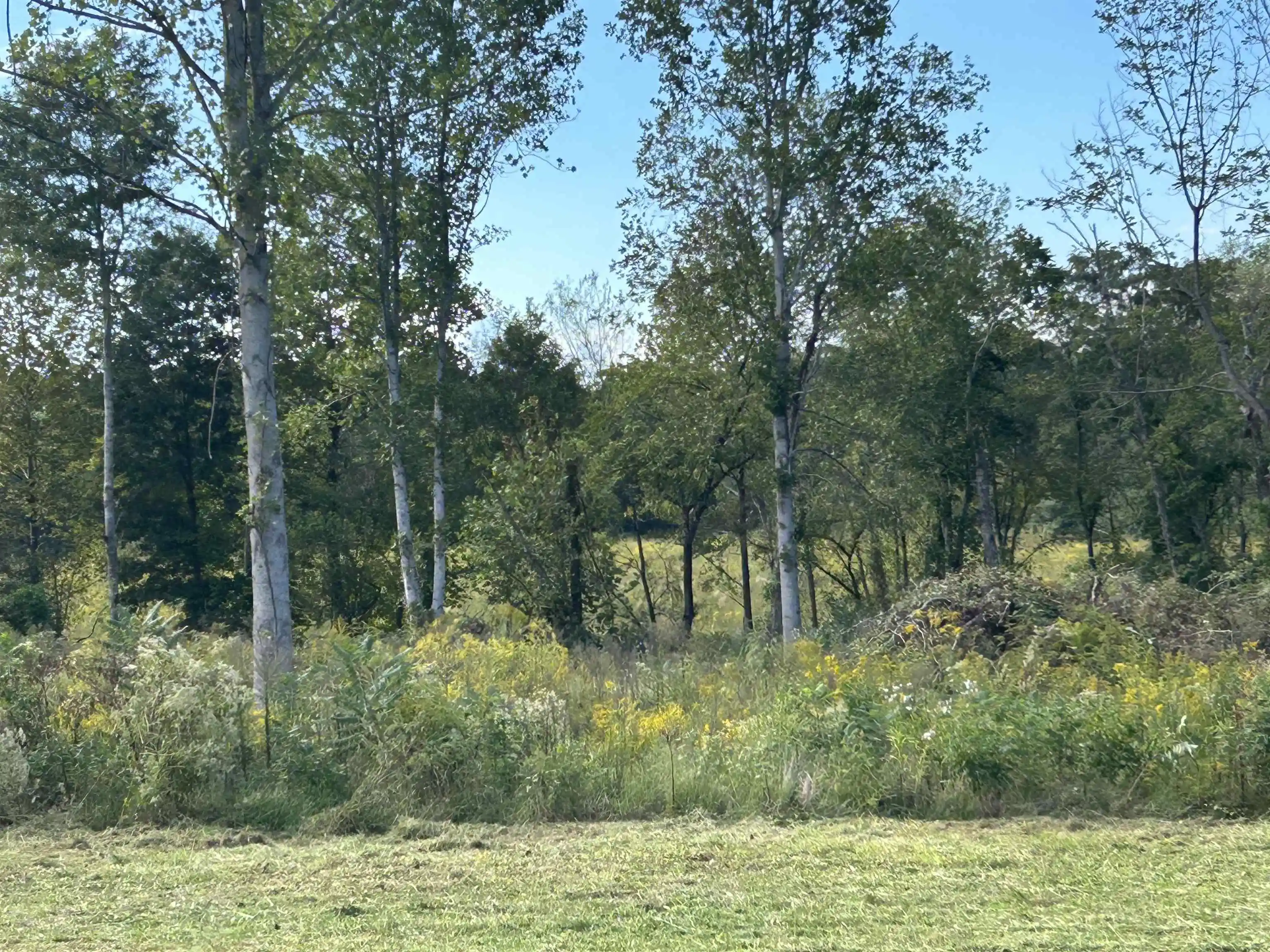 2nd image of Lot 36 Cordova Cv, Savannah, TN 38372 | MLS# 10223555