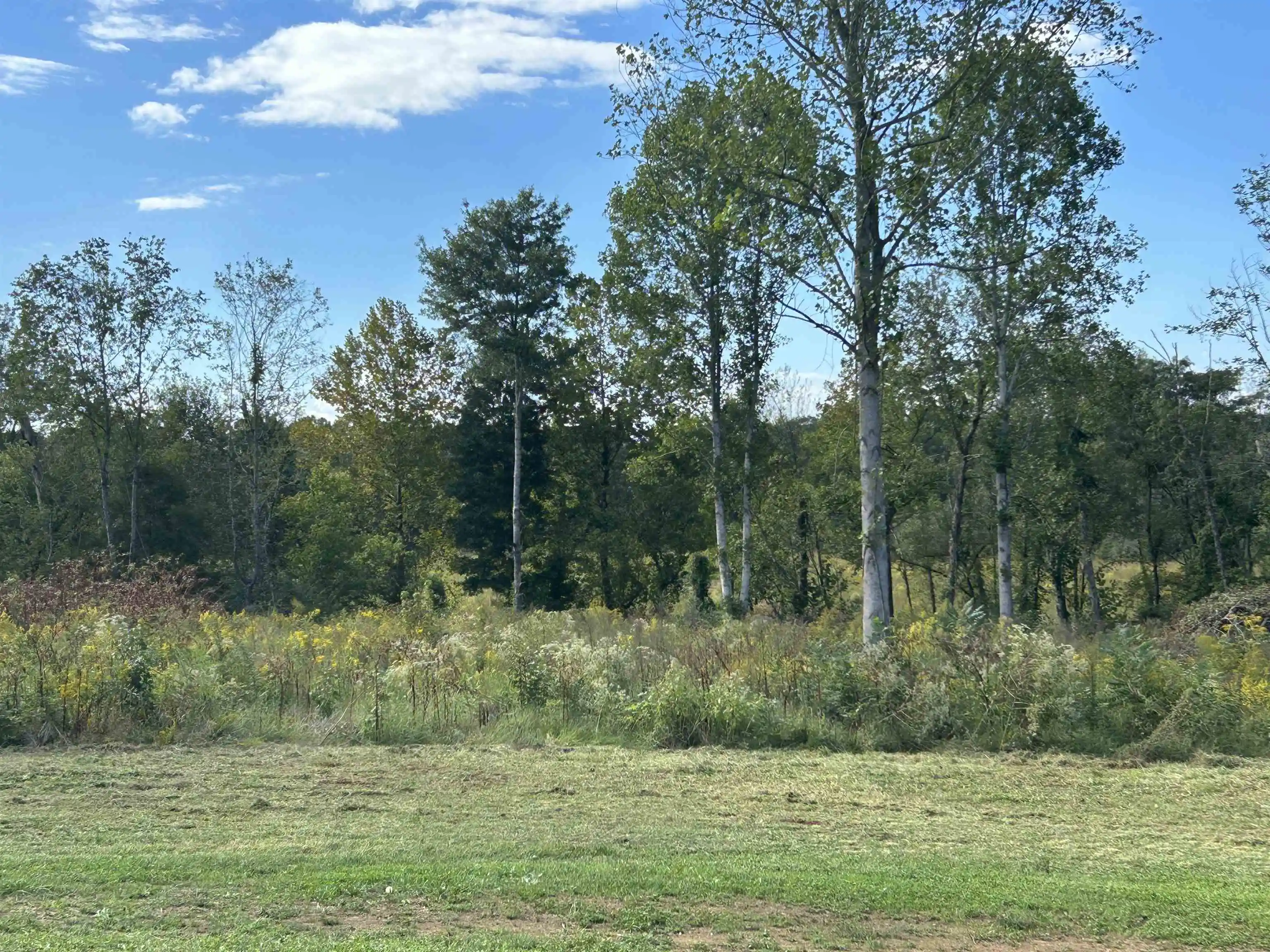 Photo 3 of Land for sale at Lot 36 Cordova Cv, Savannah, TN 38372 | MLS# 10223555 | Listing updated on 2026-07-06