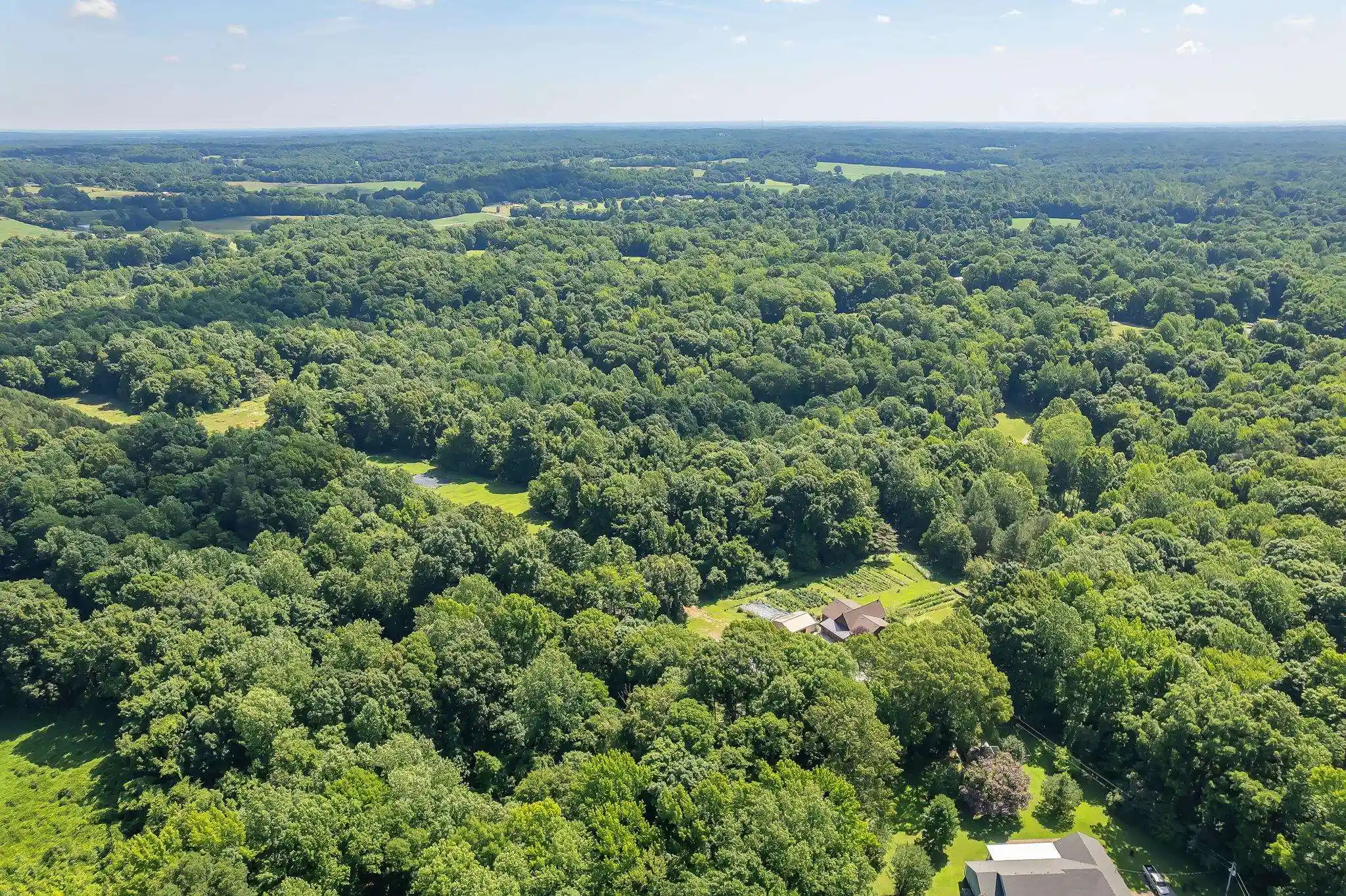 3rd image of 4637 Edith Nankipoo Rd, Ripley, TN 38063 | MLS# 10223787