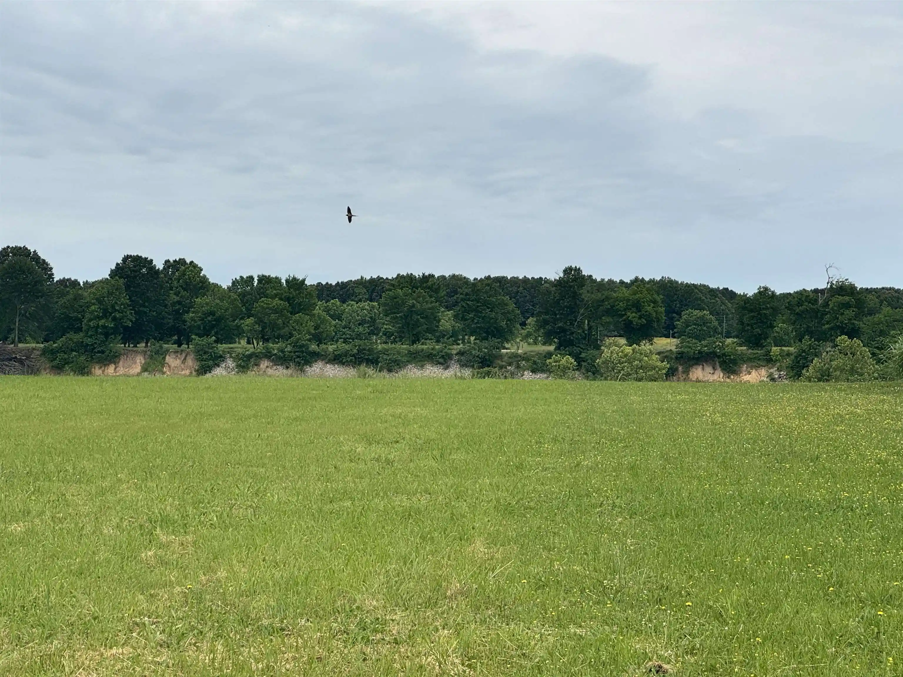 Photo 3 of Land for sale at Lot 29 Declan Ln, Savannah, TN 38372 | MLS# 10223804 | Listing updated on 2026-08-14