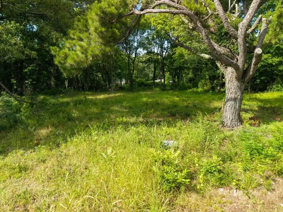 9th image of Jackson Pit Rd, Memphis, TN 38118 | MLS# 10223886