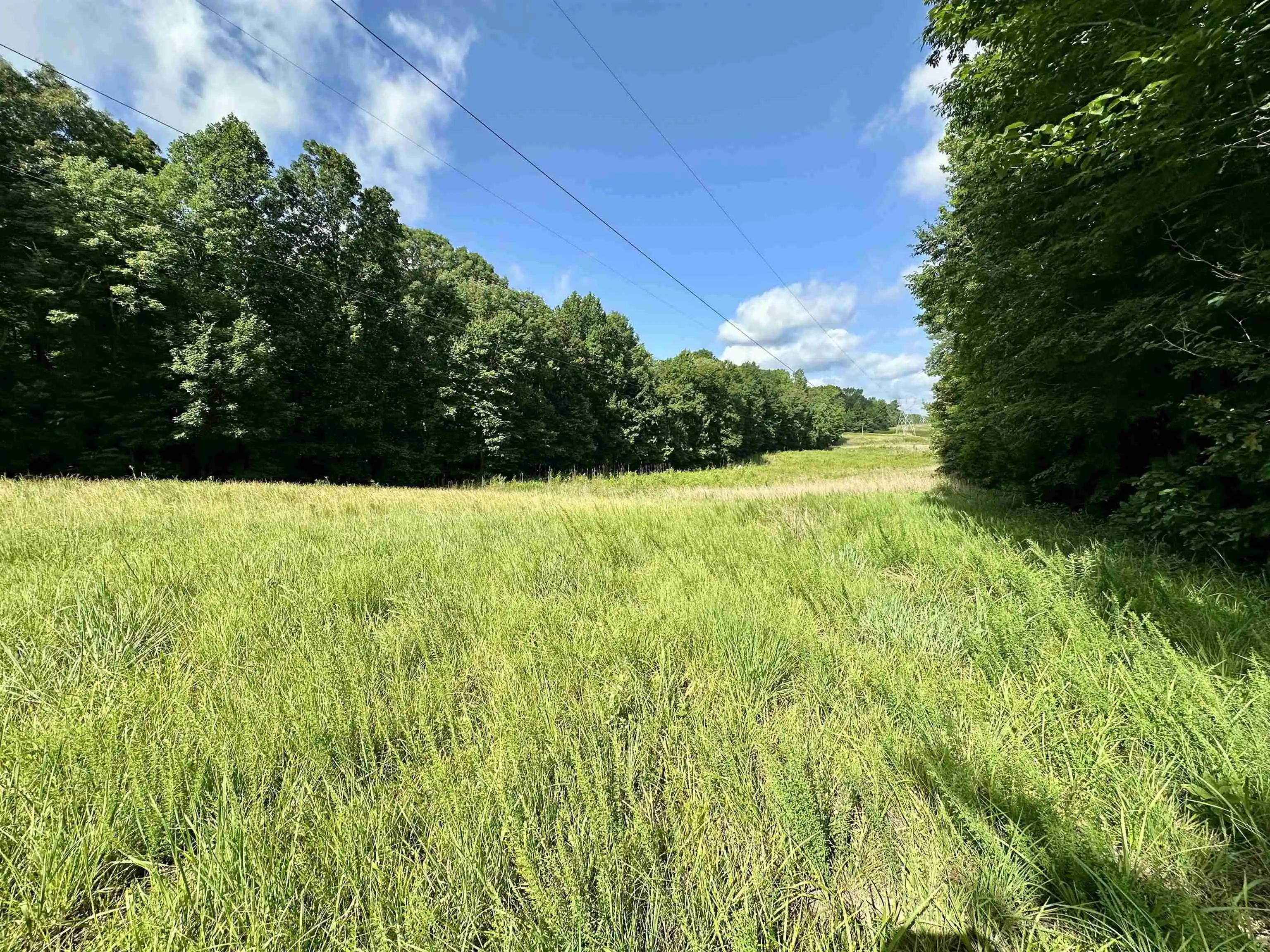 Homes for sale in Williston, TN | 1465 Bobbitt Rd, Williston, TN 38076 | MLS# 10223915