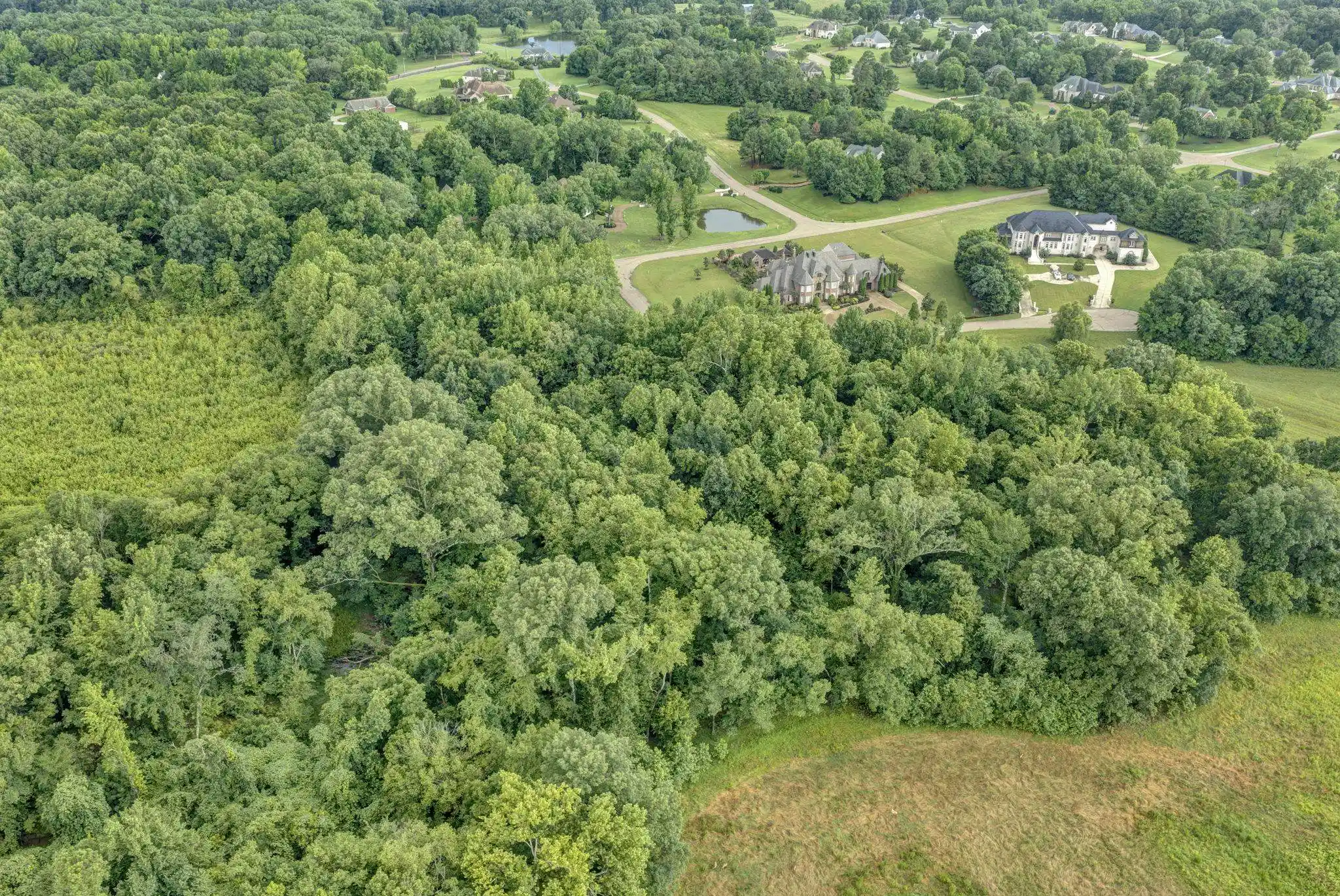 Photo 3 of Land for sale at 280 N Monterey Farms Cv, Collierville, TN 38017 | MLS# 10223934 | Listing updated on 2026-08-14