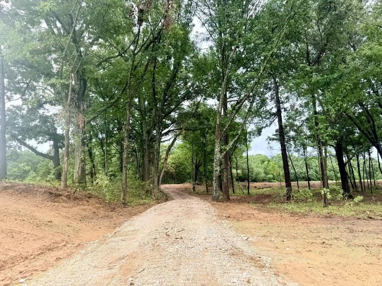 Homes for sale in Gadsden, TN | 0 Young Cemetary Rd, Gadsden, TN 38337 | MLS# 10224020
