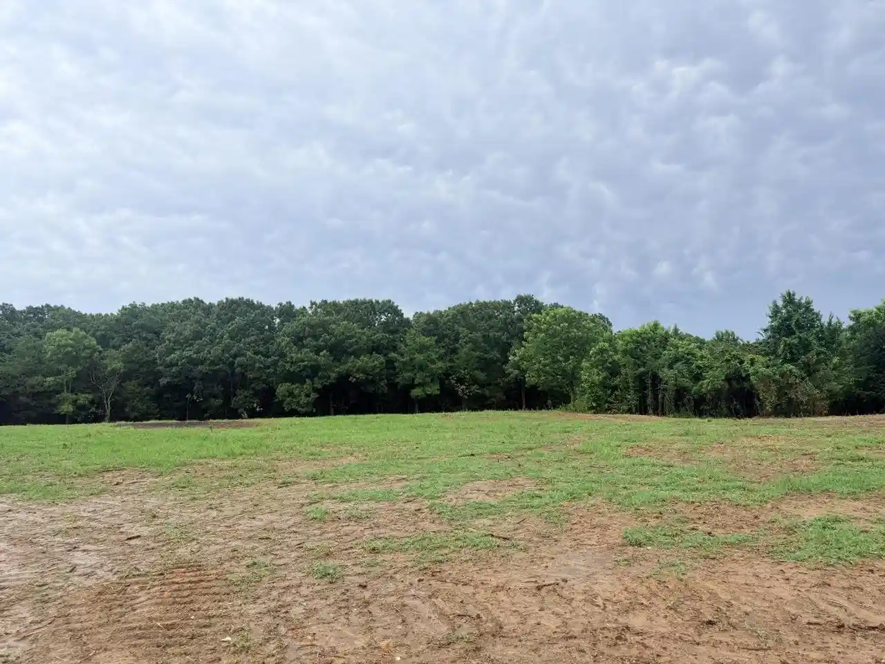 Homes for sale in Gadsden, TN | 0 Young Cemetary Rd, Gadsden, TN 38337 | MLS# 10224020