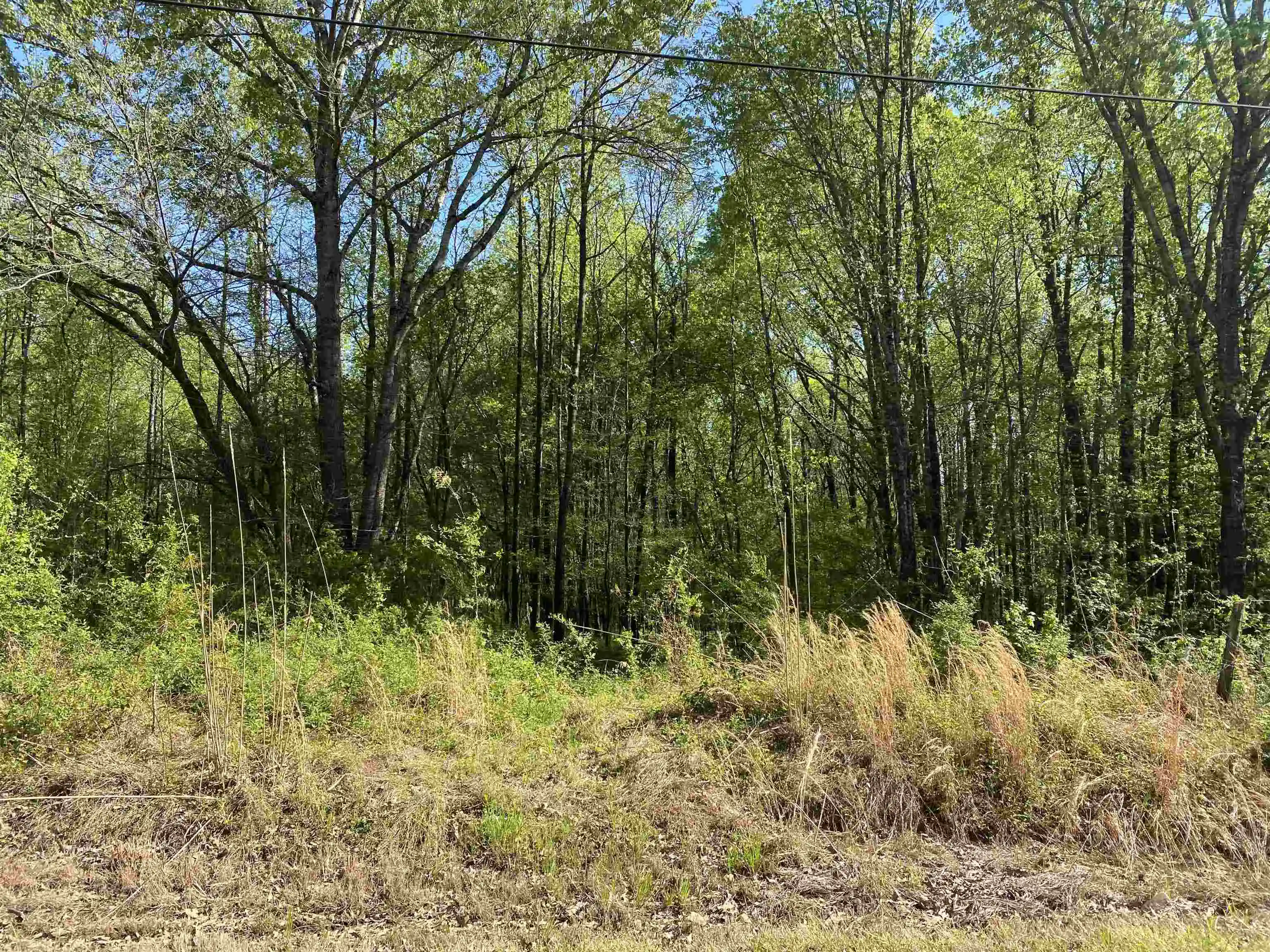 Homes for sale in Rossville, TN | 126 Acres 193 Hwy, Rossville, TN 38066 | MLS# 10224141