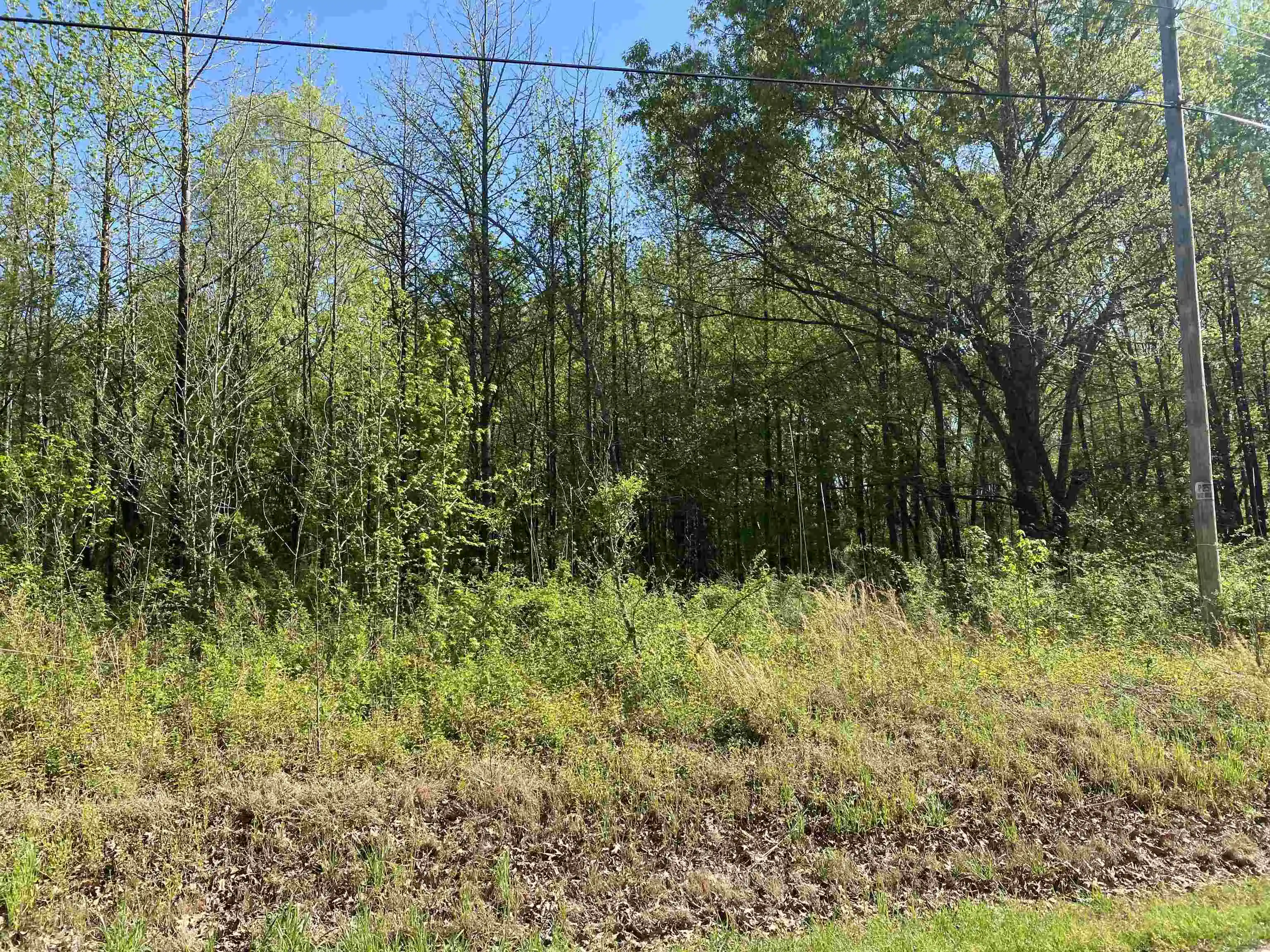 Homes for sale in Rossville, TN | 126 Acres 193 Hwy, Rossville, TN 38066 | MLS# 10224141