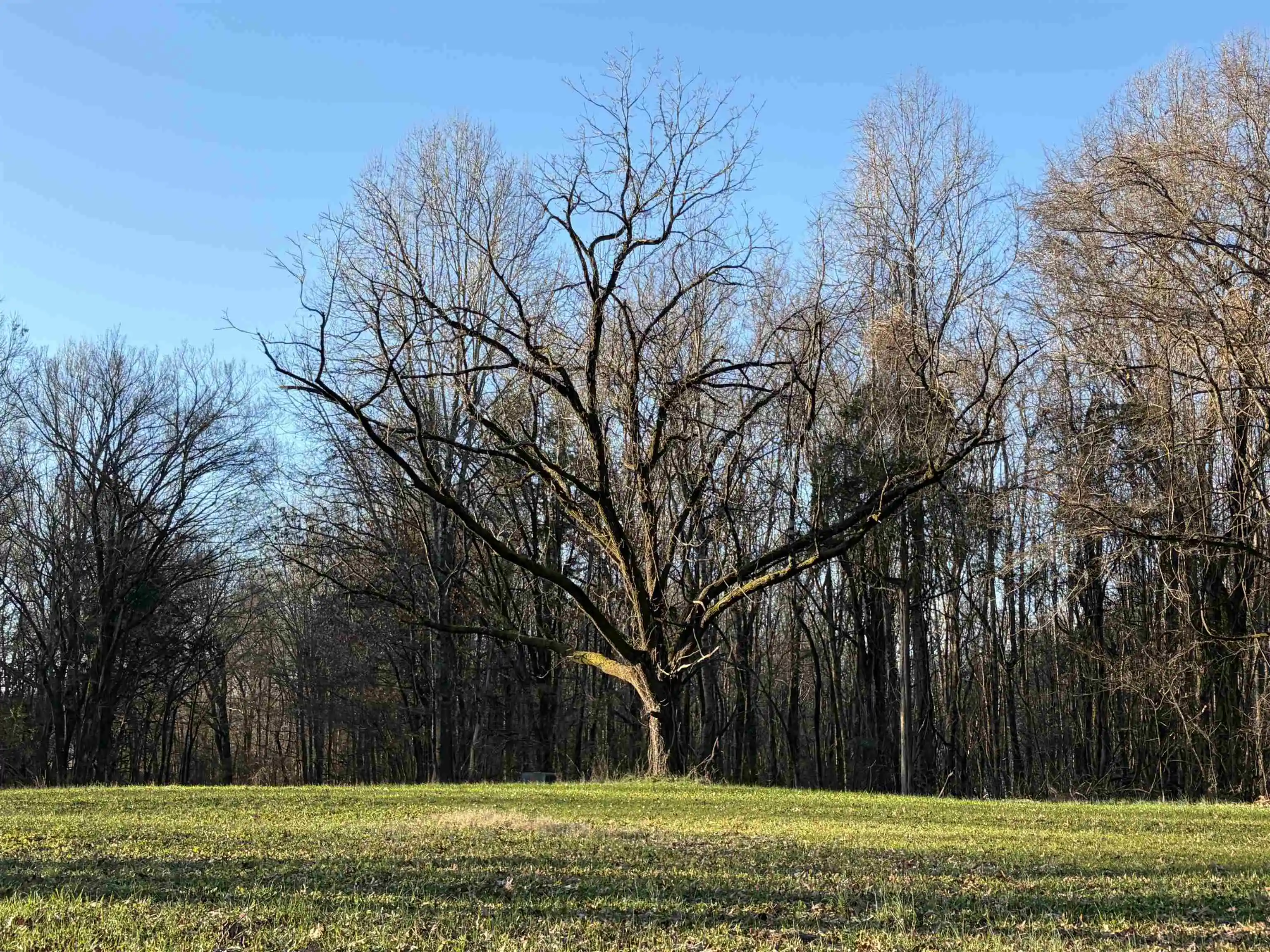 Photo 2 of Land for sale at 4591 Delta View Rd, Walls, MS 38680 | MLS# 10224170 | Listing updated on 2026-06-17