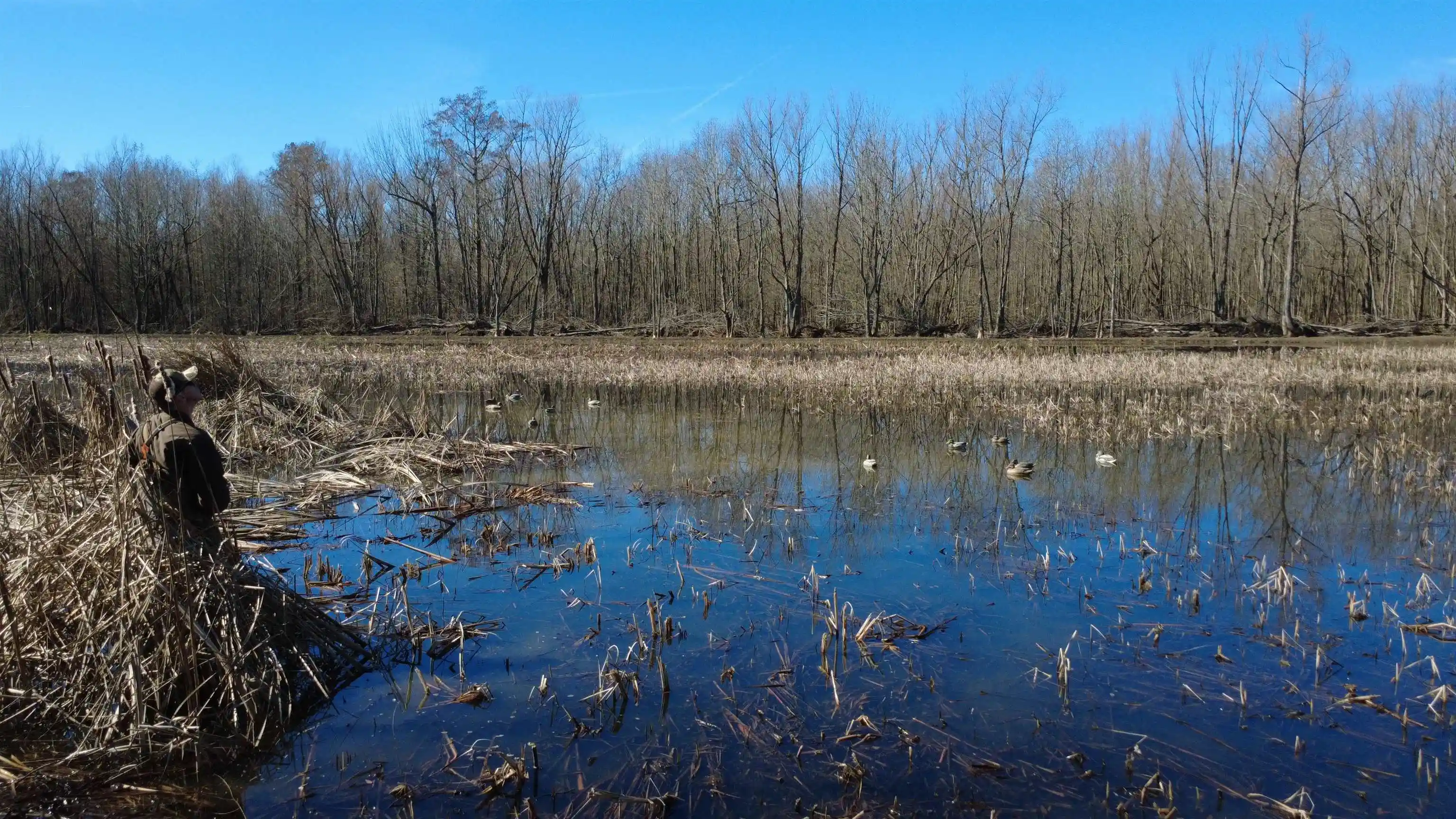 Photo 3 of Land for sale at 4591 Delta View Rd, Walls, MS 38680 | MLS# 10224170 | Listing updated on 2026-06-17